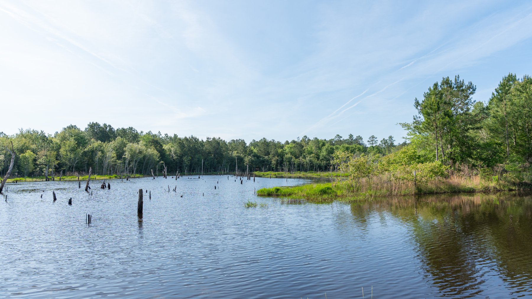 Image for 195+/- Total Acres - Premium Recreational Tract - Trophy Whitetails, Stocked Ponds & Plantation Pines