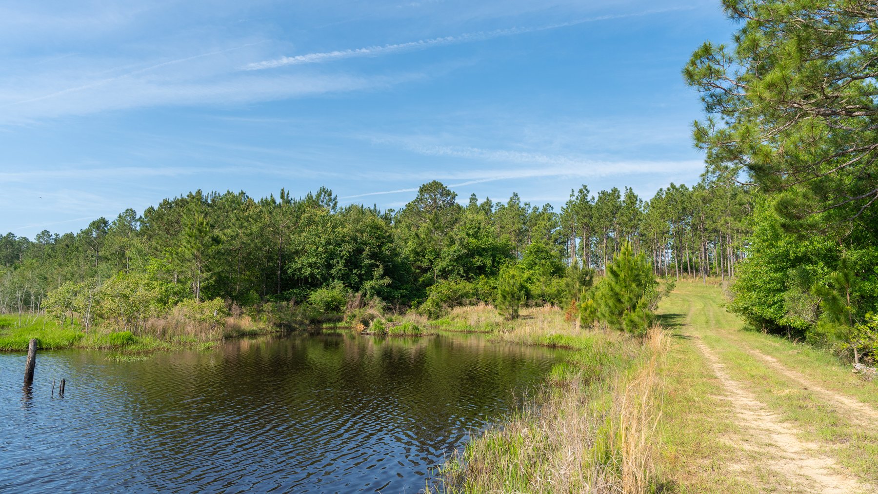 Image for 195+/- Total Acres - Premium Recreational Tract - Trophy Whitetails, Stocked Ponds & Plantation Pines