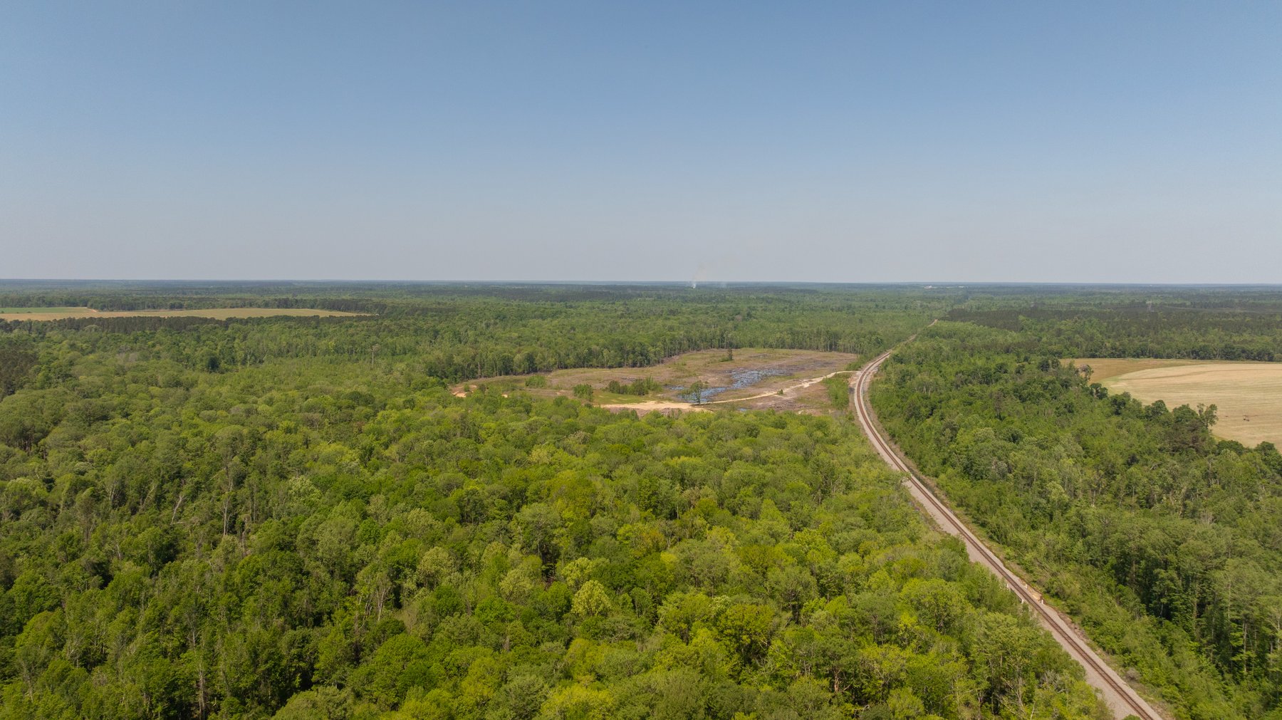 Image for 165+/- Acres - Exceptional Hunting Tract - Timber Investment Opportunity - Williamson Swamp Creek Frontage