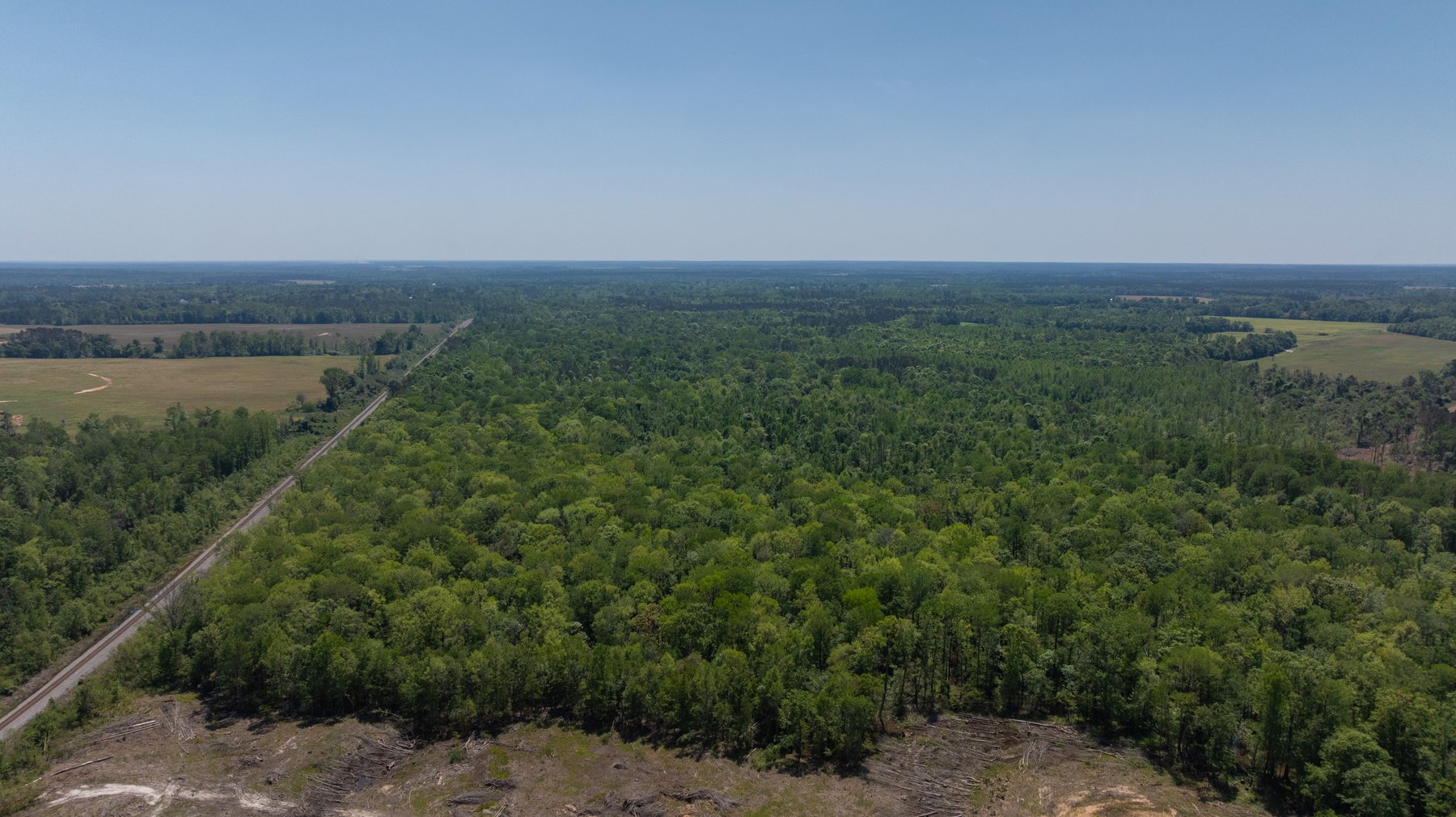 Image for 165+/- Acres - Exceptional Hunting Tract - Timber Investment Opportunity - Williamson Swamp Creek Frontage