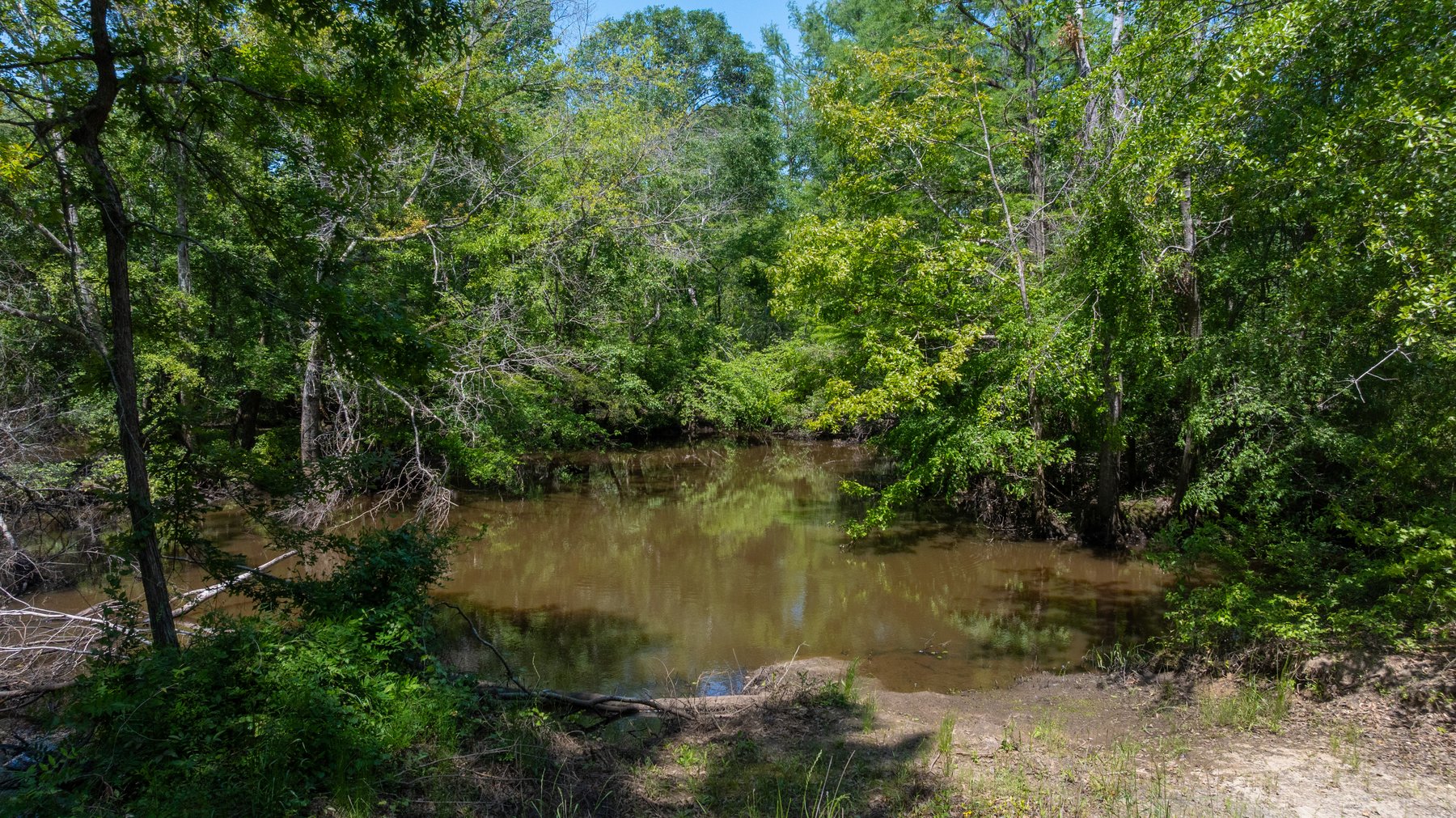 Image for 165+/- Acres - Exceptional Hunting Tract - Timber Investment Opportunity - Williamson Swamp Creek Frontage