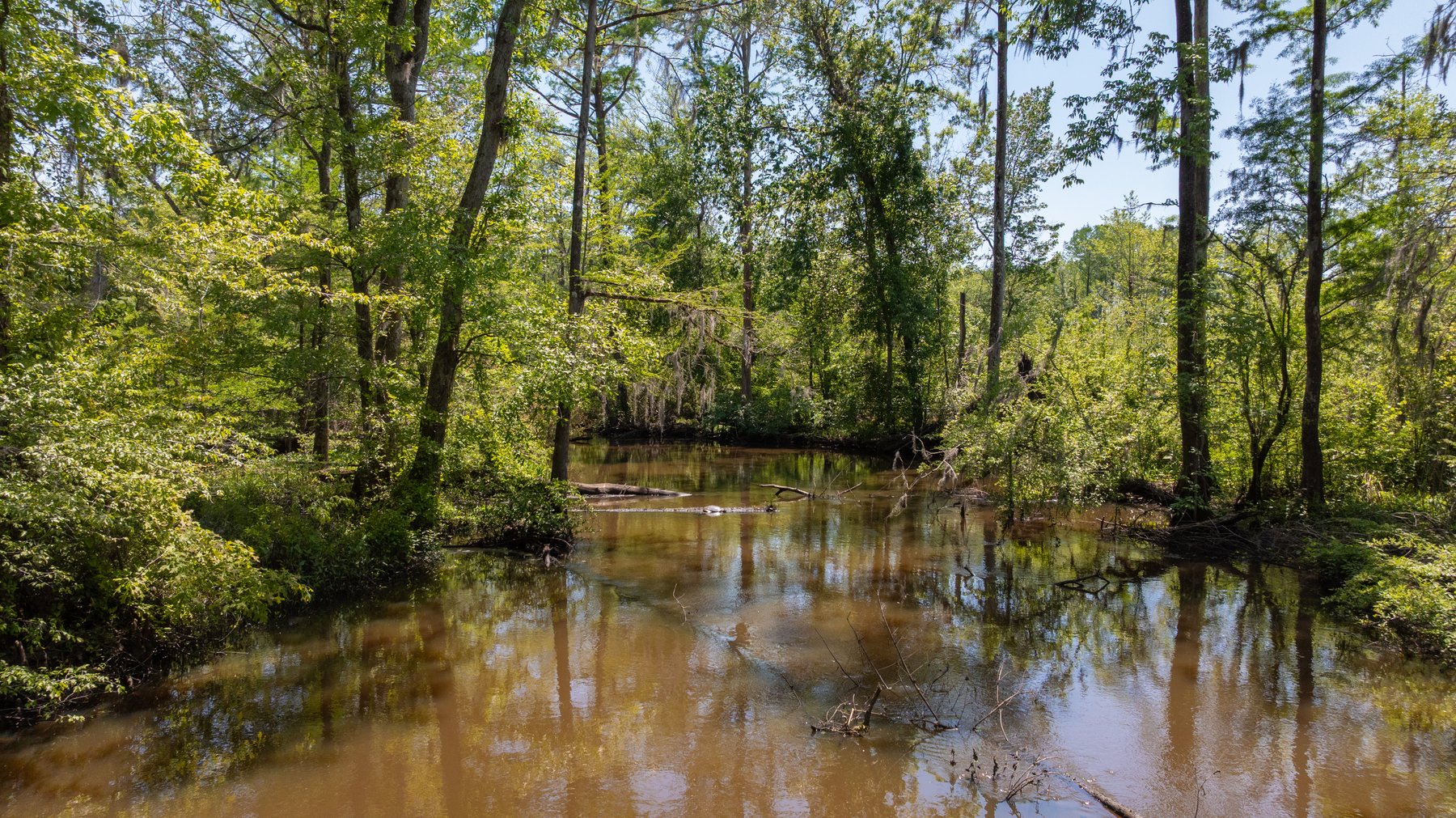 Image for 165+/- Acres - Exceptional Hunting Tract - Timber Investment Opportunity - Williamson Swamp Creek Frontage