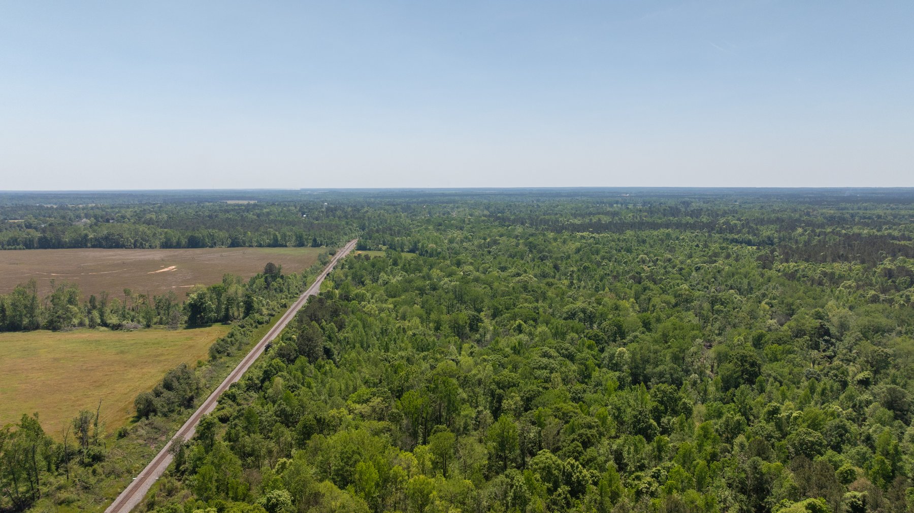 Image for 165+/- Acres - Exceptional Hunting Tract - Timber Investment Opportunity - Williamson Swamp Creek Frontage