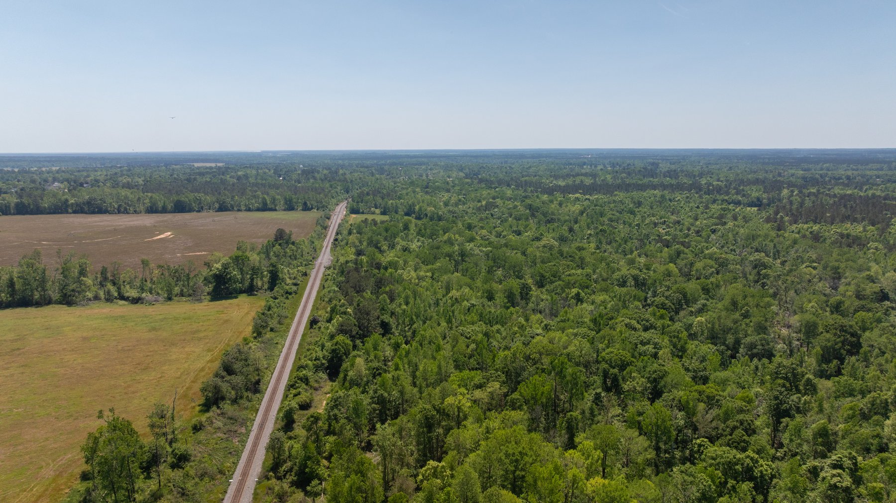Image for 165+/- Acres - Exceptional Hunting Tract - Timber Investment Opportunity - Williamson Swamp Creek Frontage