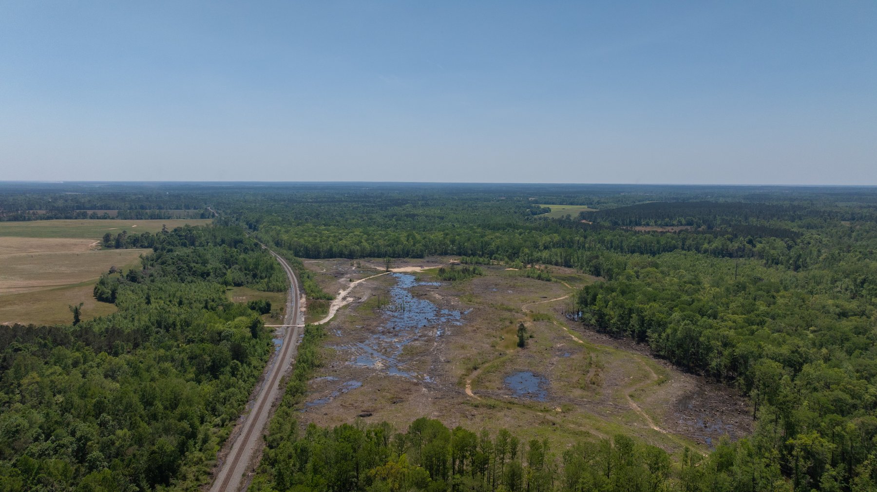 Image for 165+/- Acres - Exceptional Hunting Tract - Timber Investment Opportunity - Williamson Swamp Creek Frontage