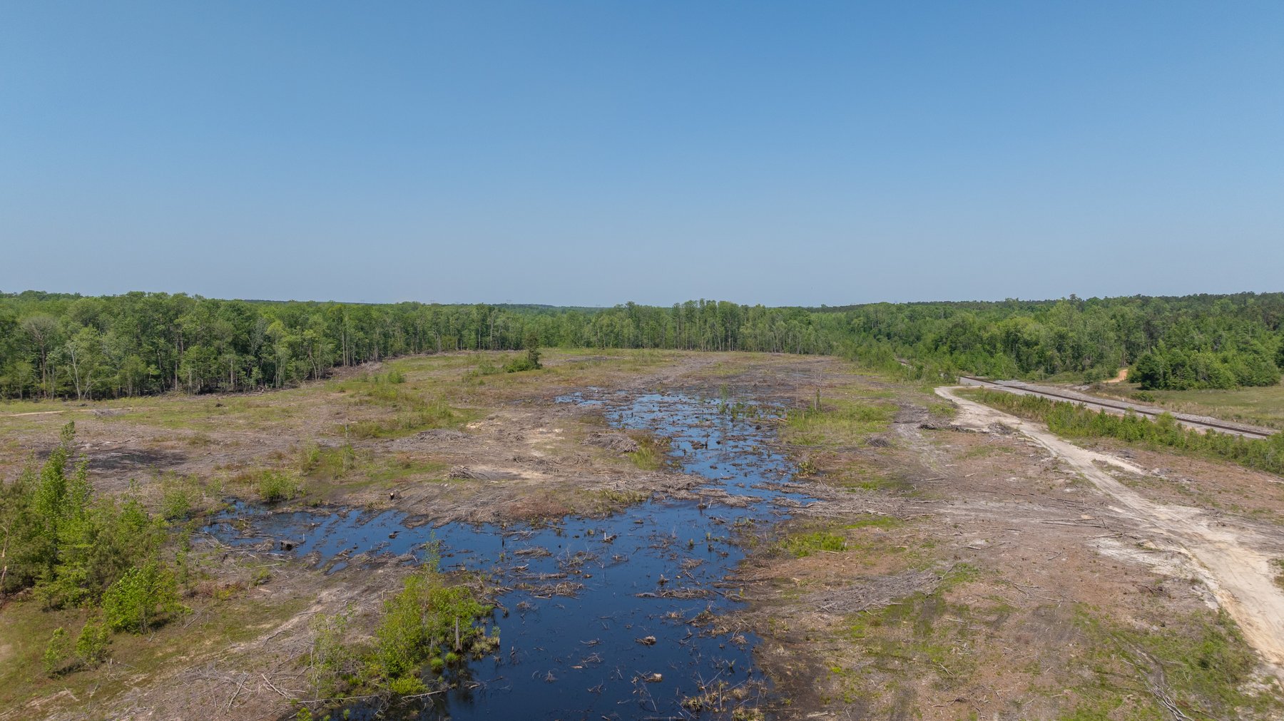 Image for 165+/- Acres - Exceptional Hunting Tract - Timber Investment Opportunity - Williamson Swamp Creek Frontage