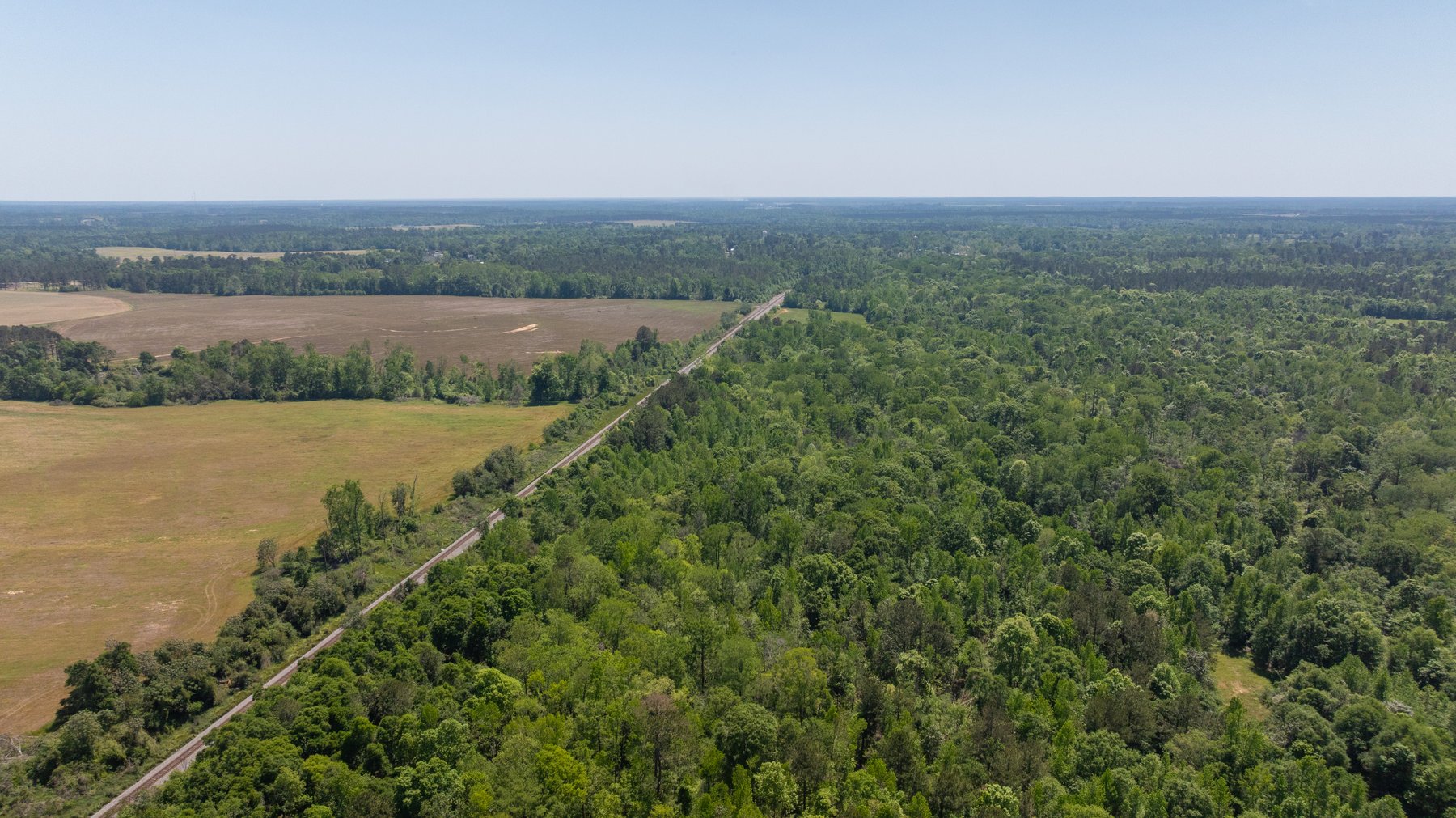 Image for 165+/- Acres - Exceptional Hunting Tract - Timber Investment Opportunity - Williamson Swamp Creek Frontage