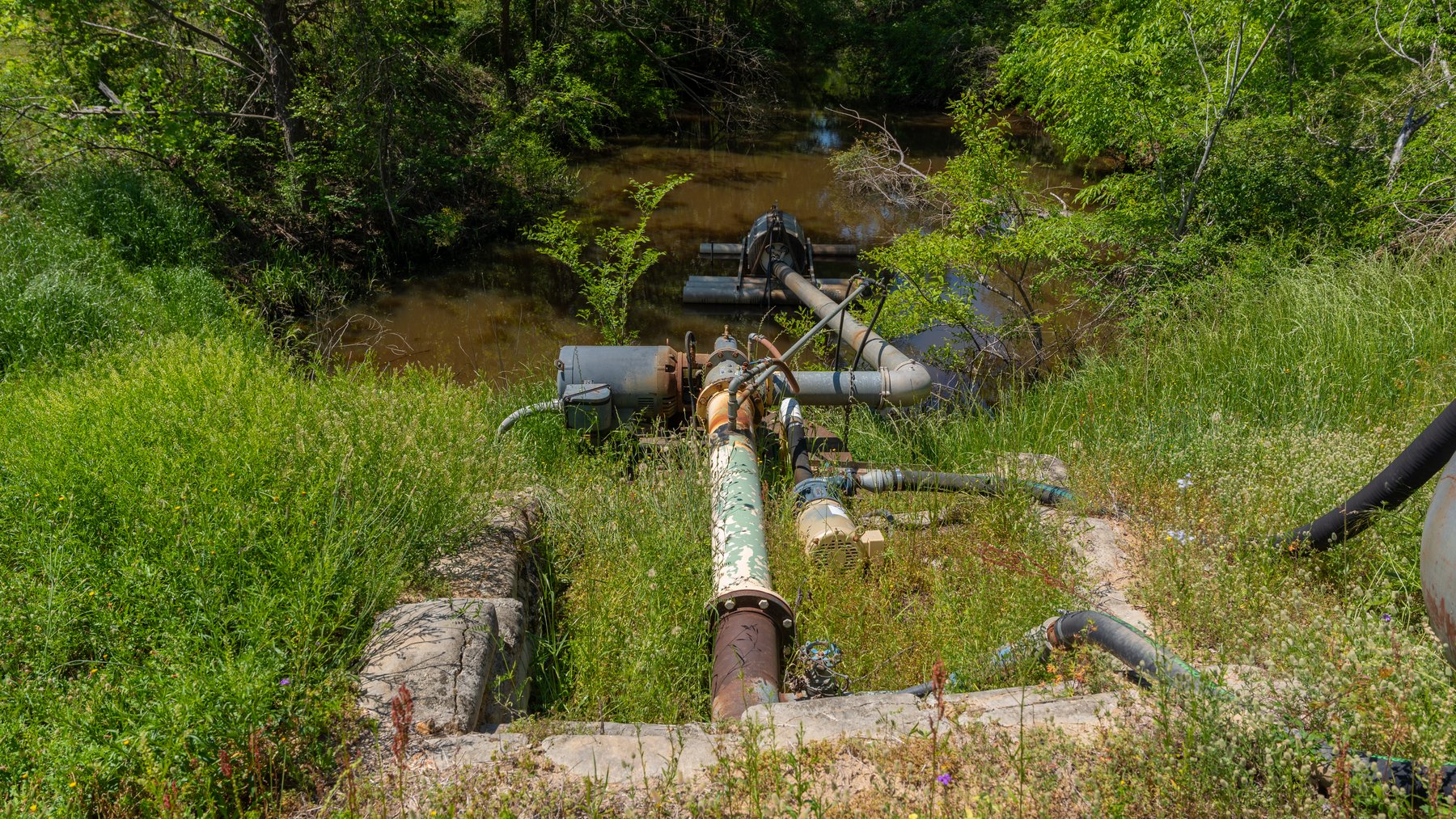 Image for 165+/- Acres - Exceptional Hunting Tract - Timber Investment Opportunity - Williamson Swamp Creek Frontage