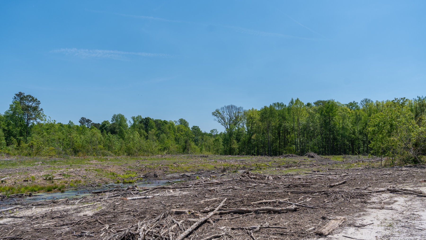 Image for 165+/- Acres - Exceptional Hunting Tract - Timber Investment Opportunity - Williamson Swamp Creek Frontage