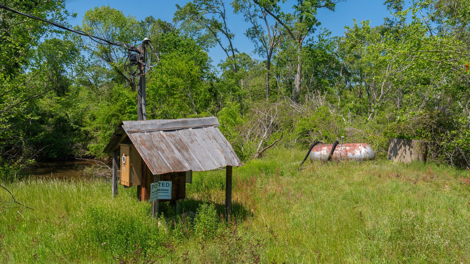 Image for 165+/- Acres - Exceptional Hunting Tract - Timber Investment Opportunity - Williamson Swamp Creek Frontage