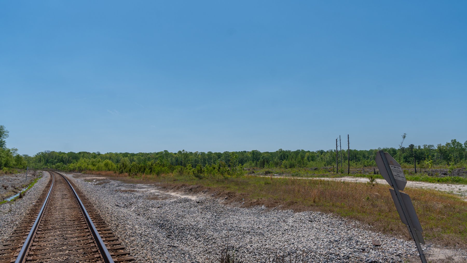 Image for 165+/- Acres - Exceptional Hunting Tract - Timber Investment Opportunity - Williamson Swamp Creek Frontage