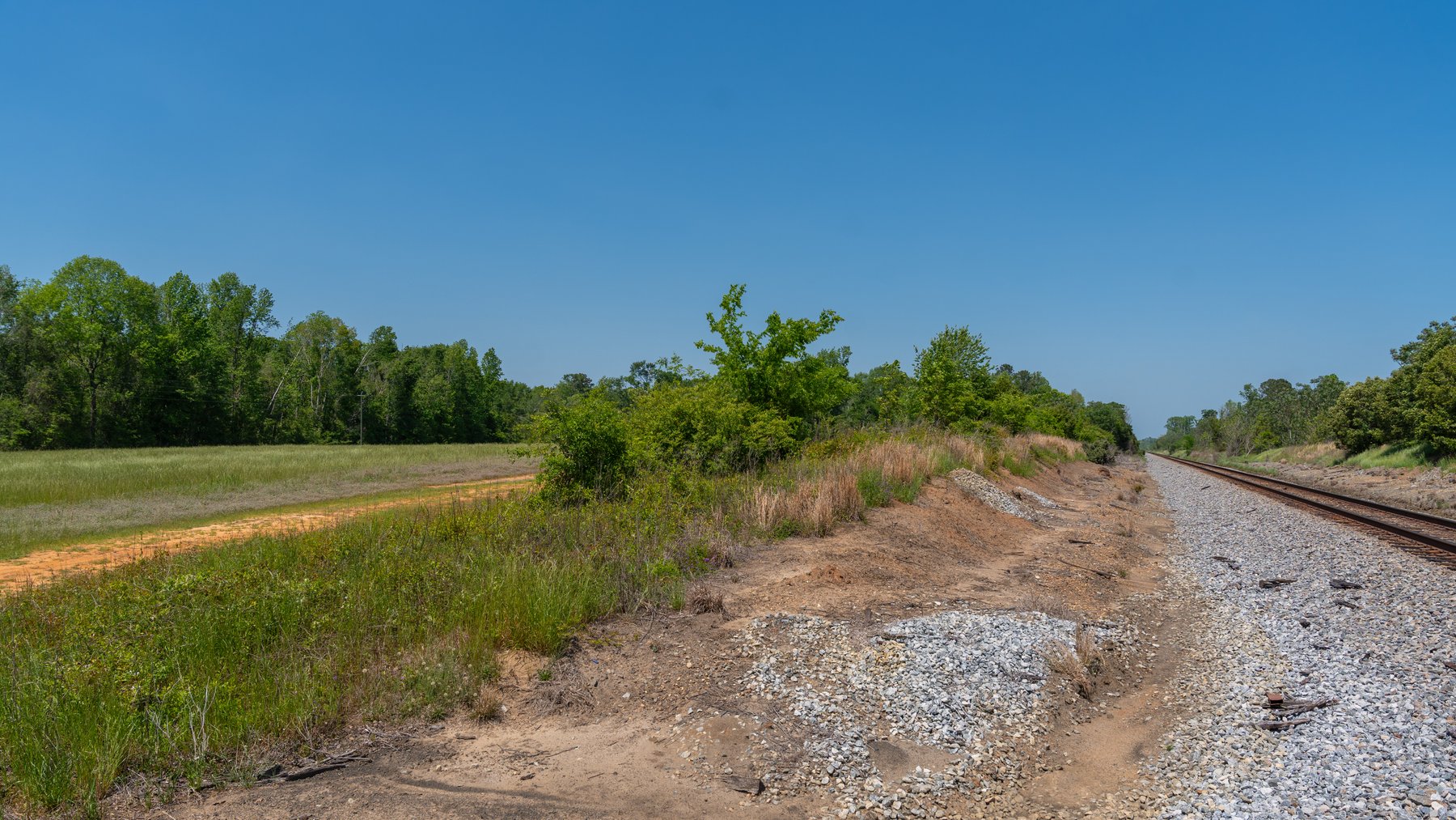 Image for 165+/- Acres - Exceptional Hunting Tract - Timber Investment Opportunity - Williamson Swamp Creek Frontage