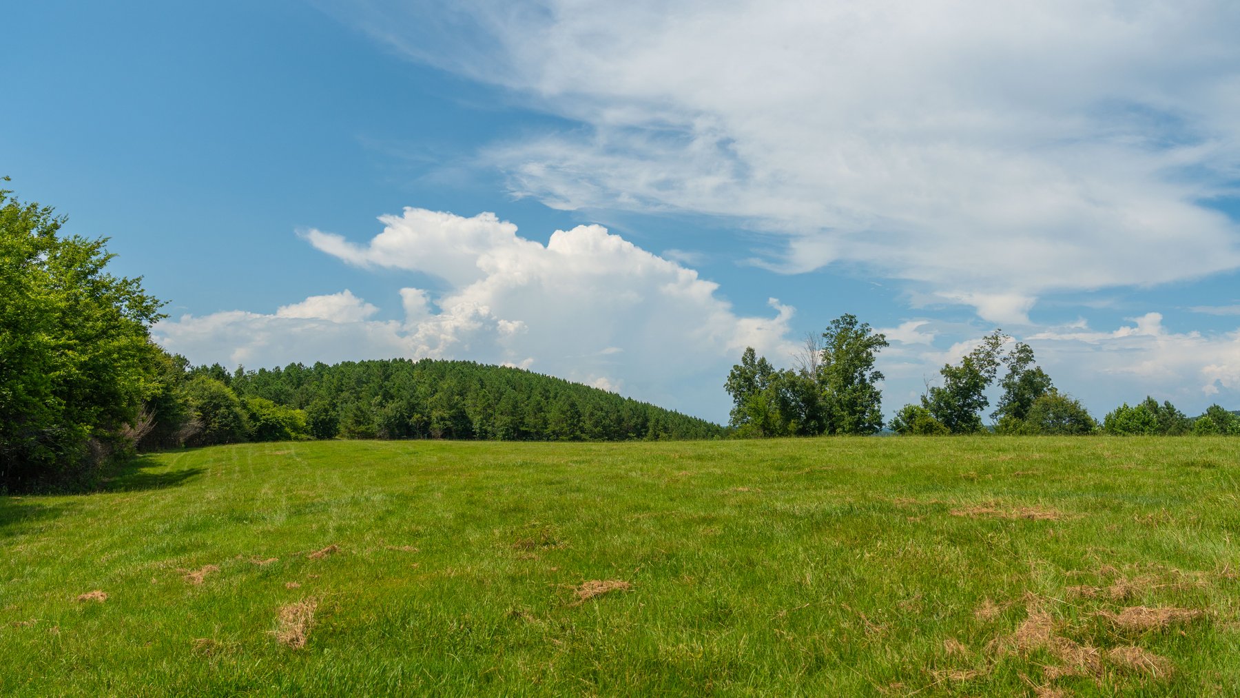 Image for Pleasant Valley Farms – 238+/- Total Acres - Residential Development Opportunity - Beautiful Brick Home & Improvements - Offered Divided & as a Whole