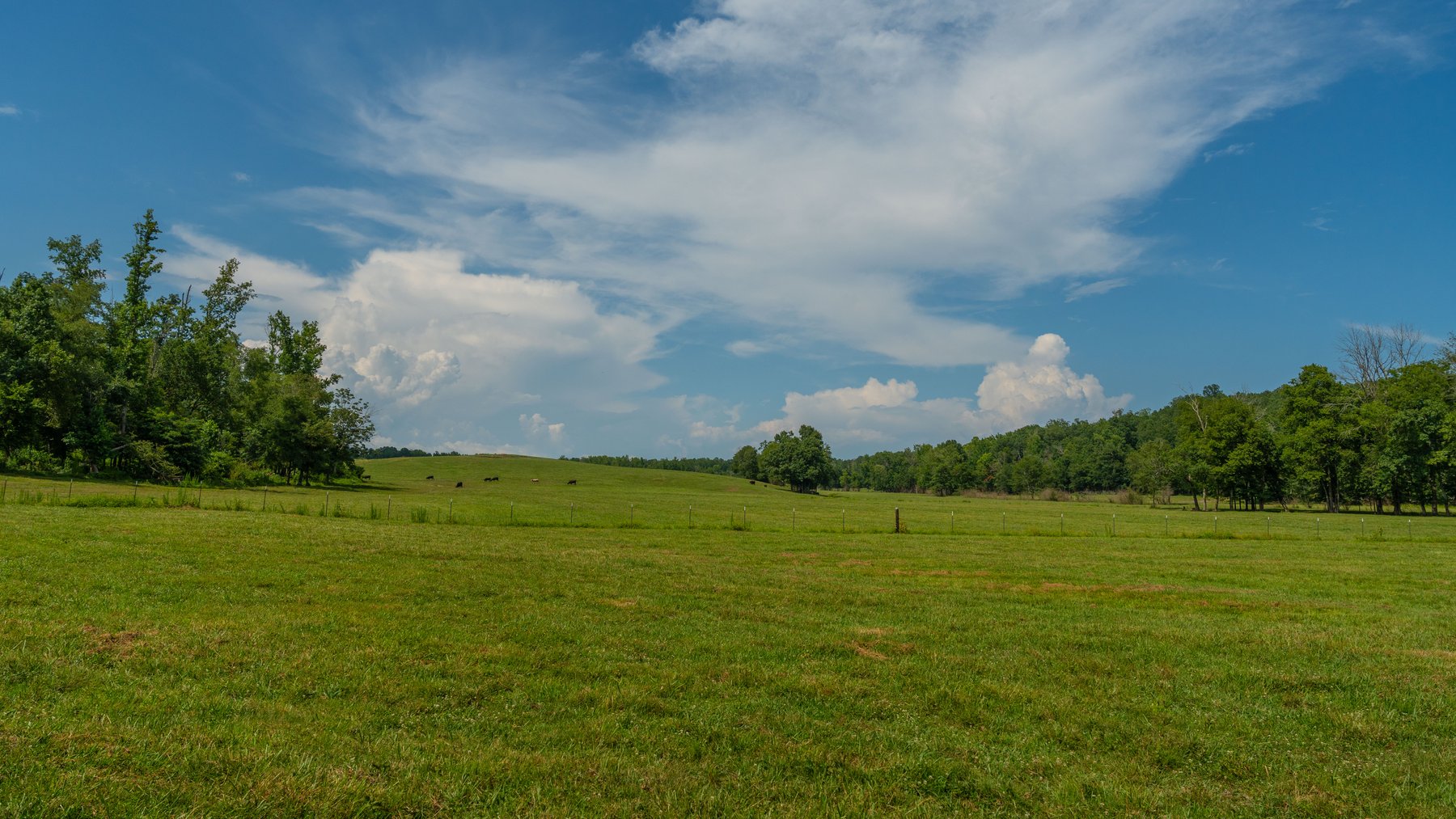 Image for Pleasant Valley Farms – 238+/- Total Acres - Residential Development Opportunity - Beautiful Brick Home & Improvements - Offered Divided & as a Whole