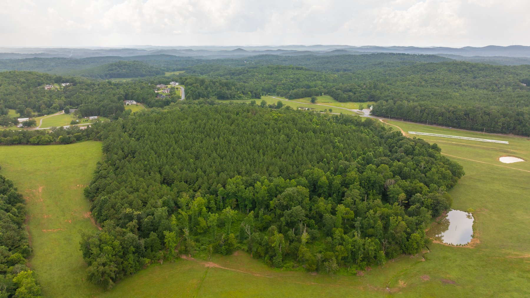 Image for Pleasant Valley Farms – 238+/- Total Acres - Residential Development Opportunity - Beautiful Brick Home & Improvements - Offered Divided & as a Whole