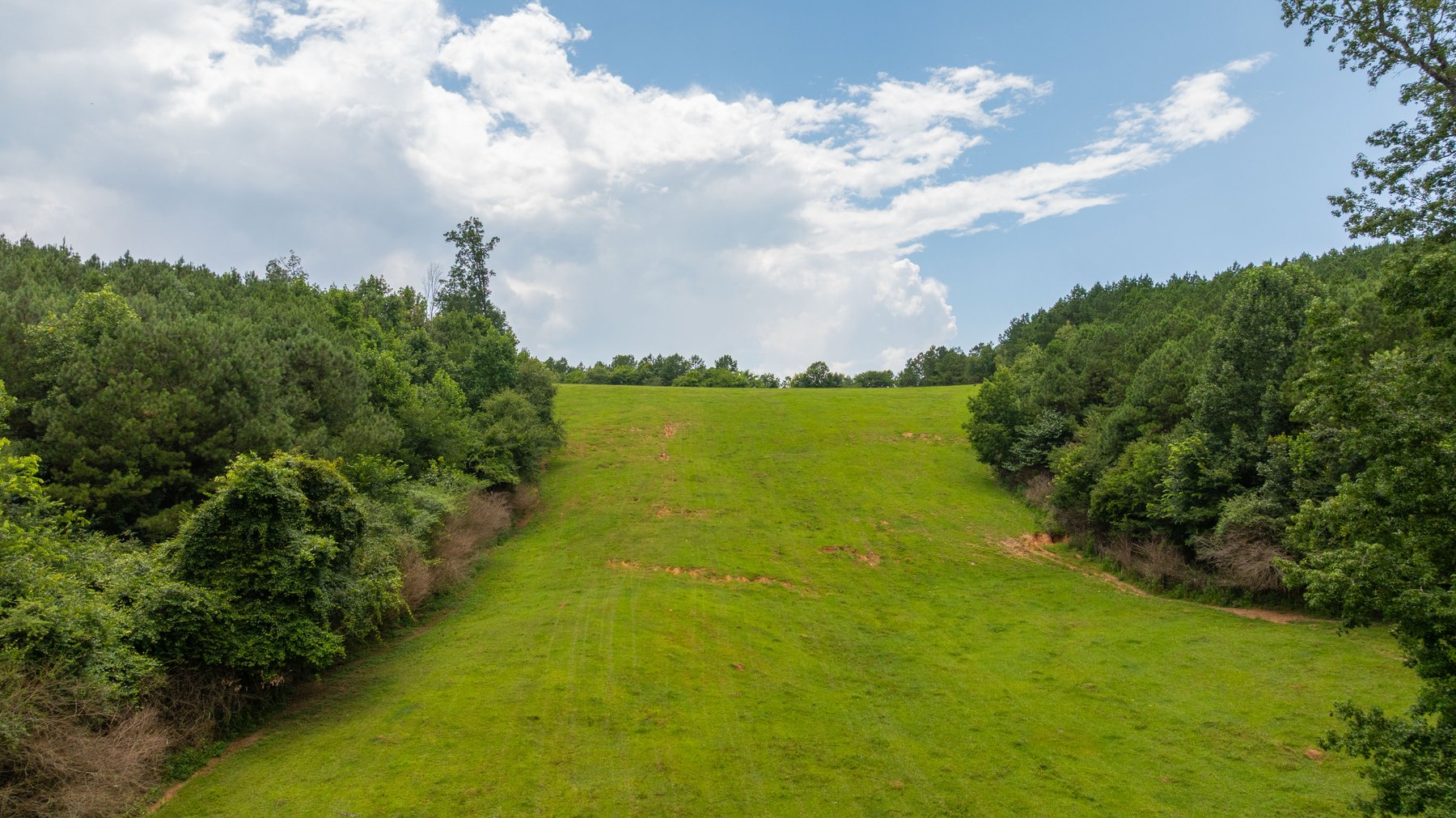 Image for Pleasant Valley Farms – 238+/- Total Acres - Residential Development Opportunity - Beautiful Brick Home & Improvements - Offered Divided & as a Whole