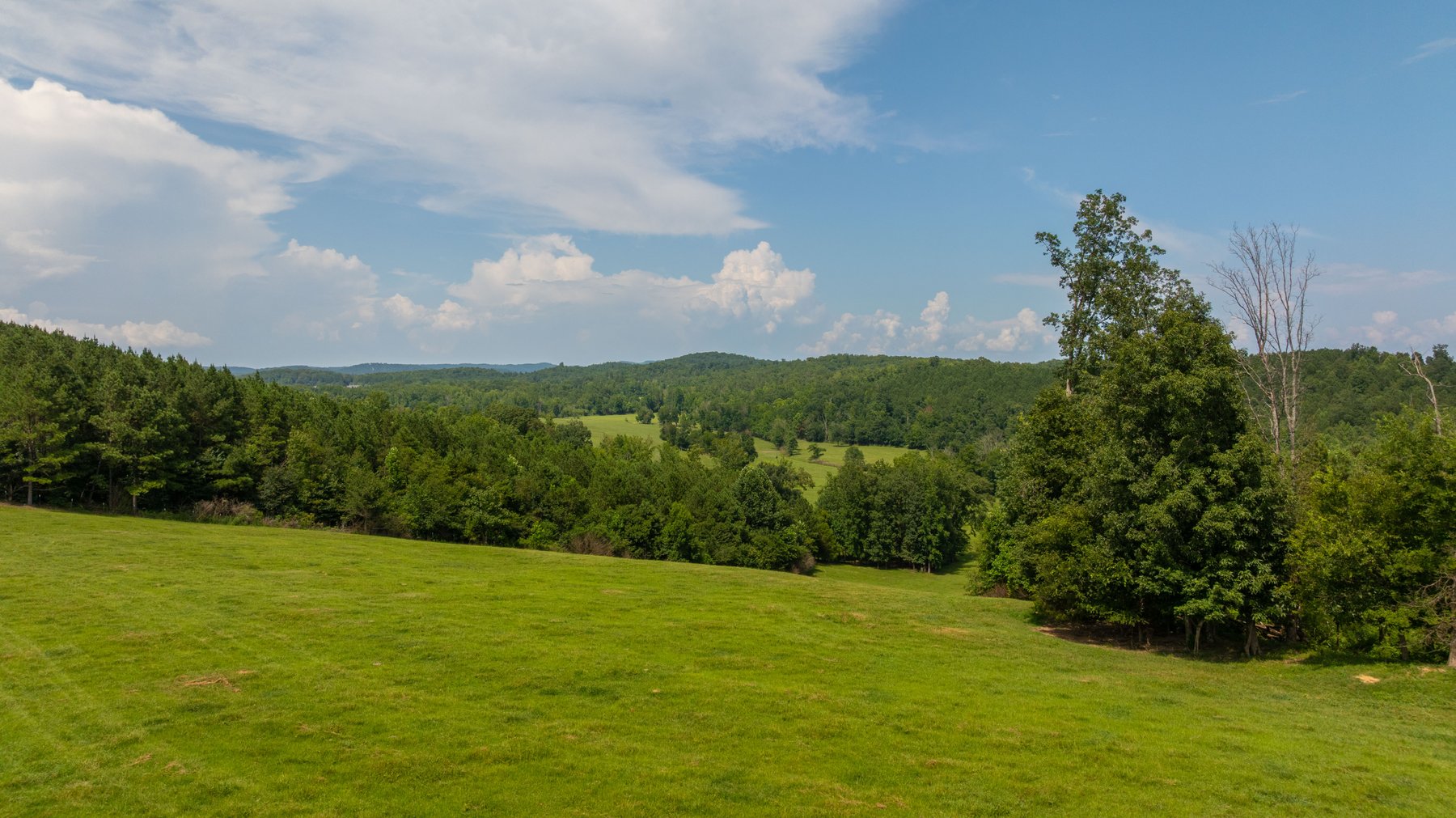 Image for Pleasant Valley Farms – 238+/- Total Acres - Residential Development Opportunity - Beautiful Brick Home & Improvements - Offered Divided & as a Whole