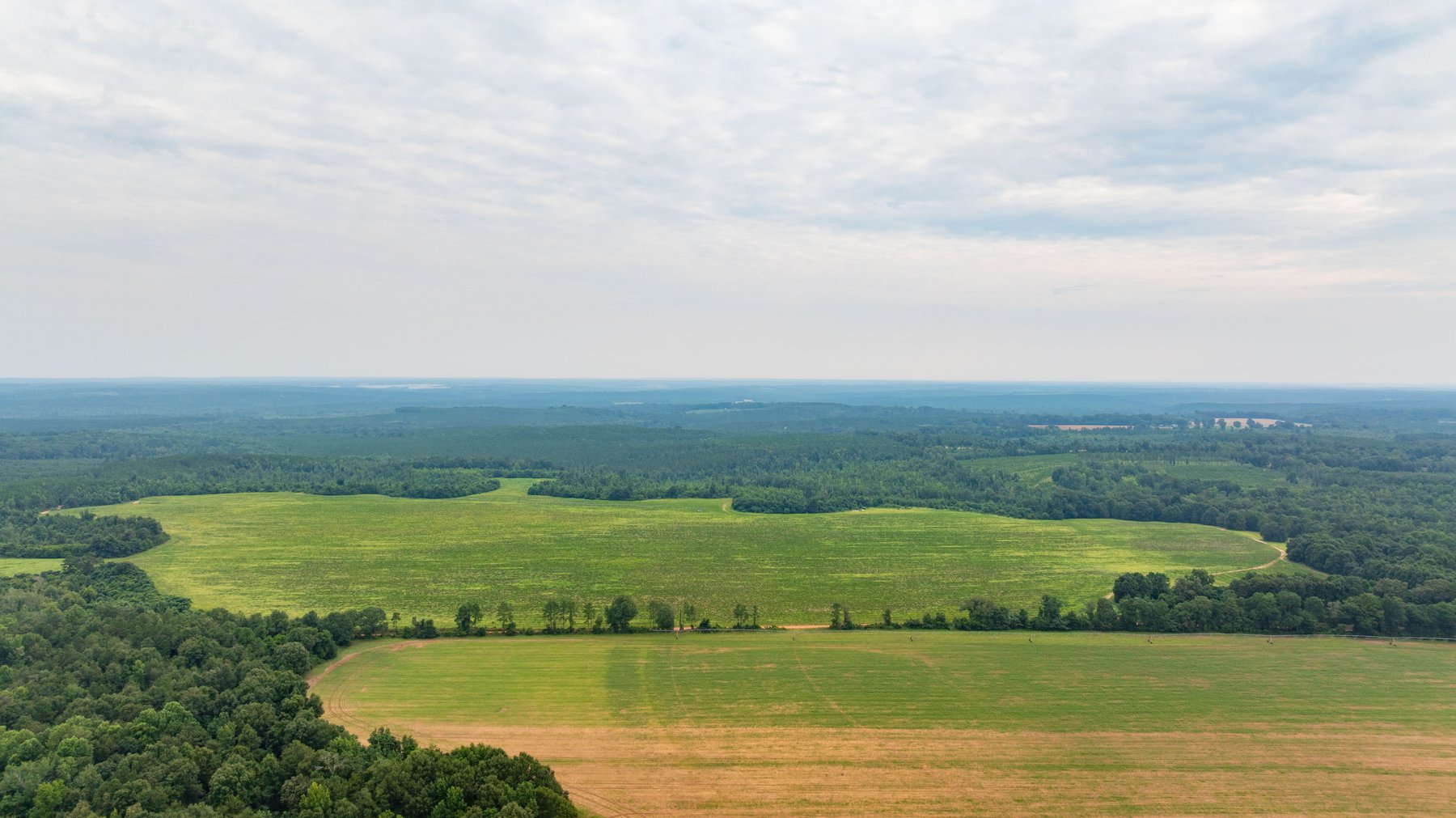 Image for The Summerford Place - 240+/- Total Acres - Irrigated Row Crop Farm - Beautiful Pond w/ Premium Hunting