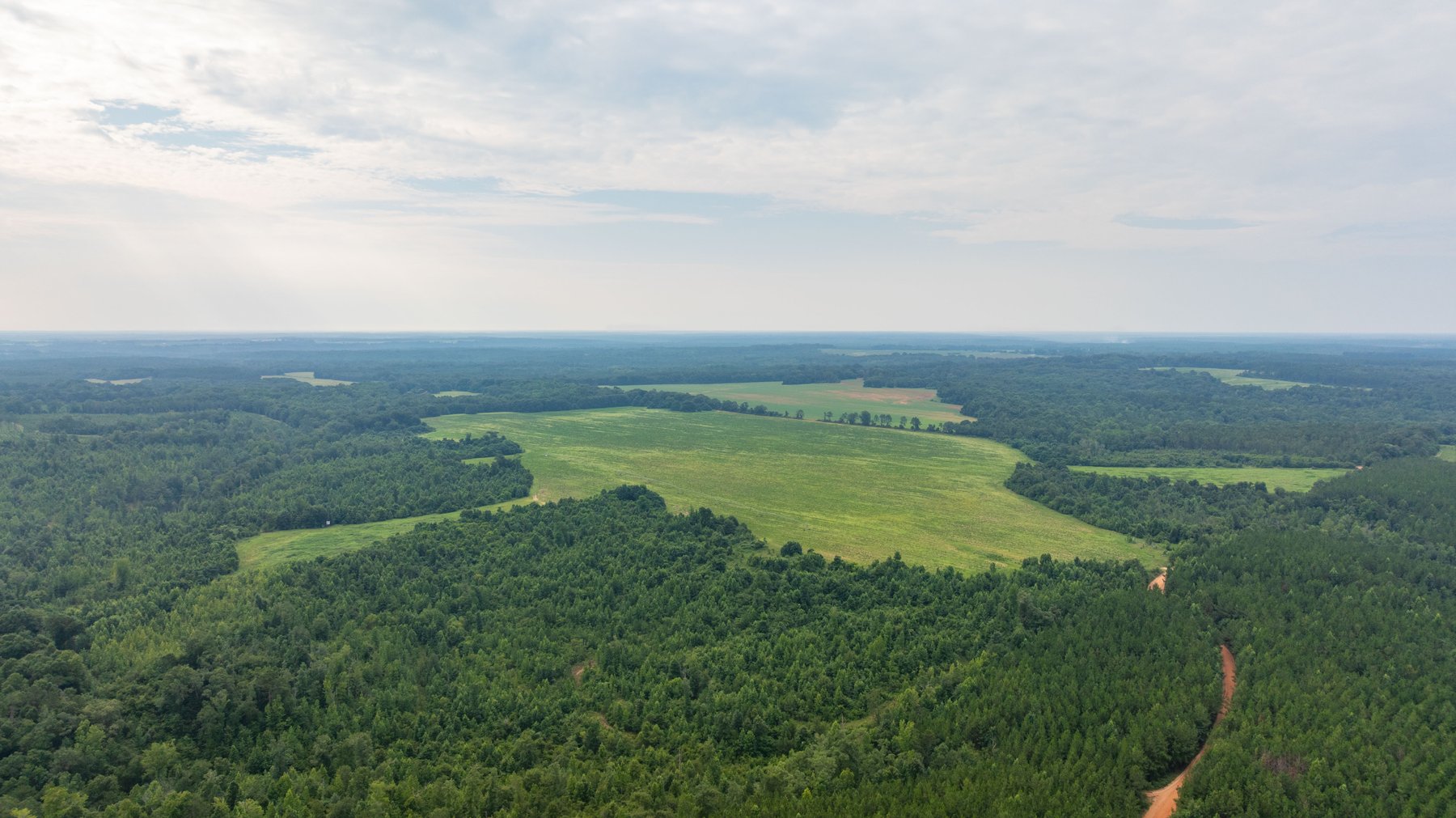 Image for The Summerford Place - 240+/- Total Acres - Irrigated Row Crop Farm - Beautiful Pond w/ Premium Hunting