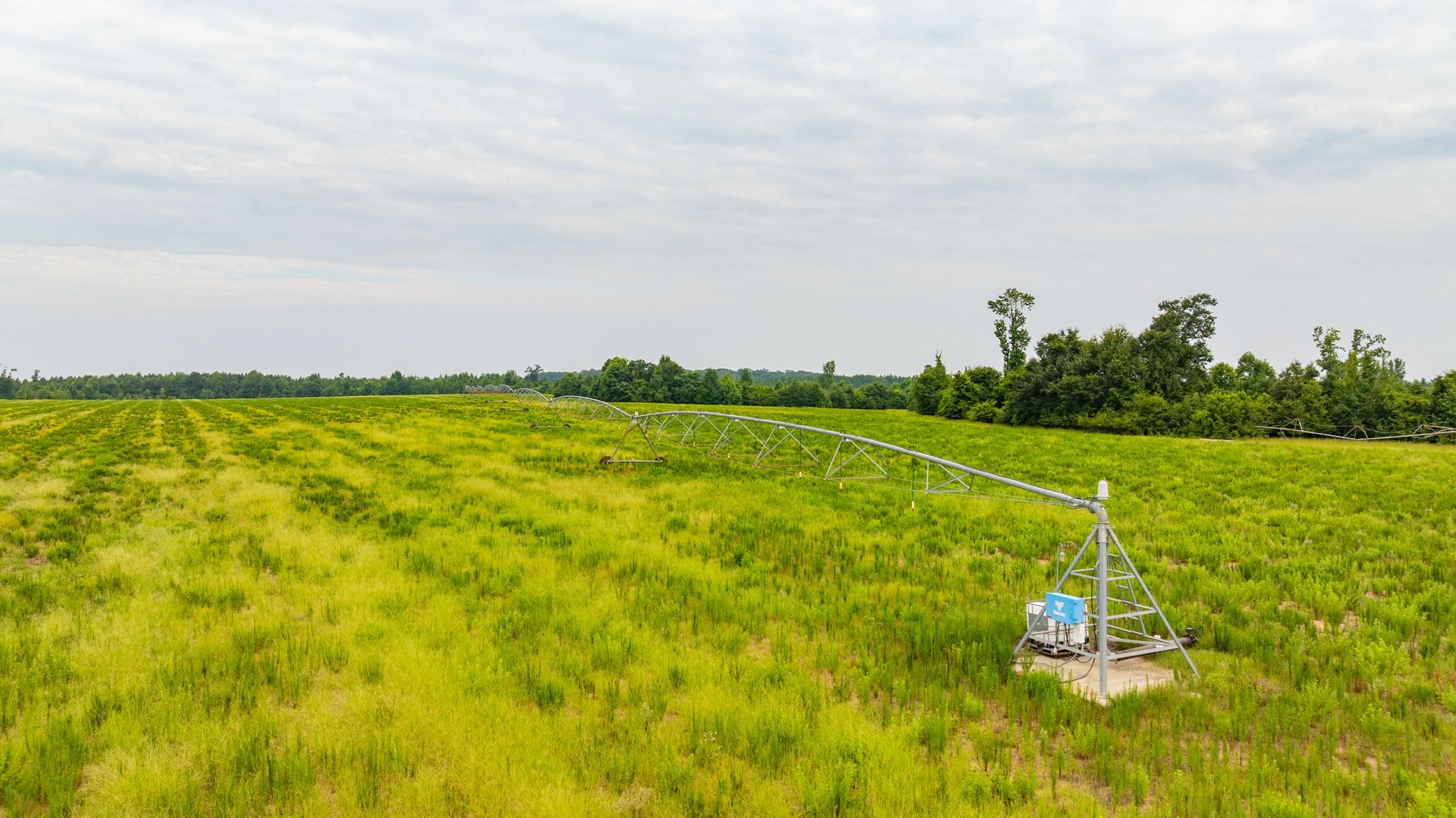 Image for The Summerford Place - 240+/- Total Acres - Irrigated Row Crop Farm - Beautiful Pond w/ Premium Hunting