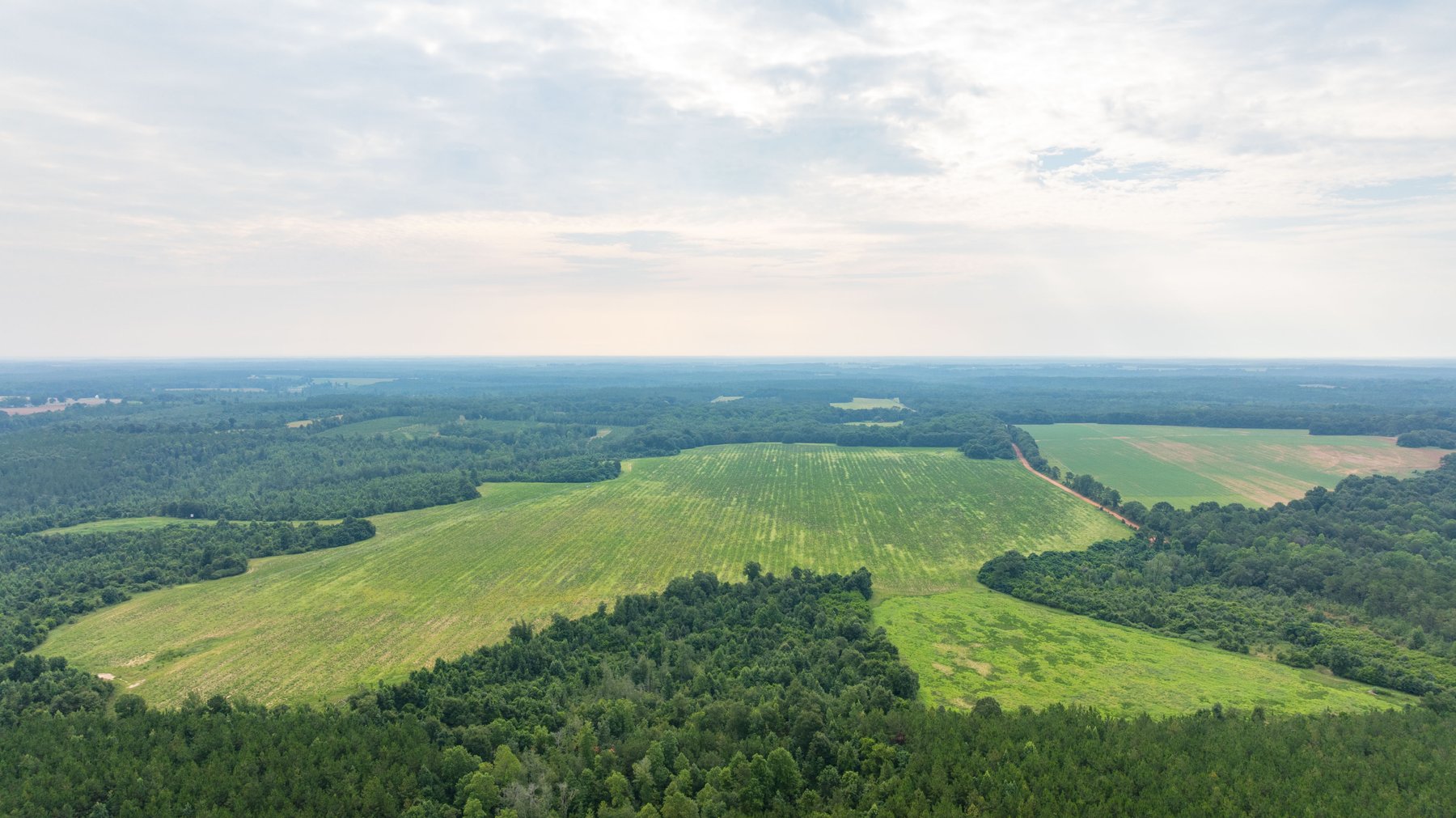 Image for The Summerford Place - 240+/- Total Acres - Irrigated Row Crop Farm - Beautiful Pond w/ Premium Hunting