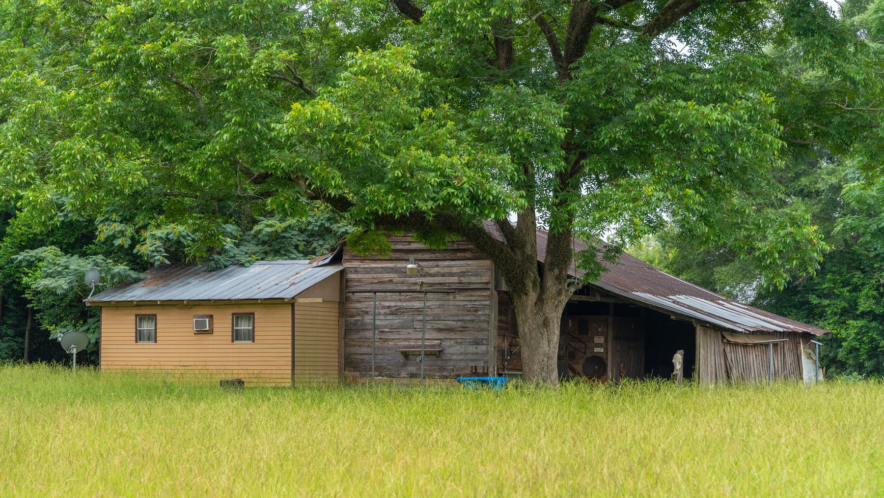 Image for The Summerford Place - 240+/- Total Acres - Irrigated Row Crop Farm - Beautiful Pond w/ Premium Hunting