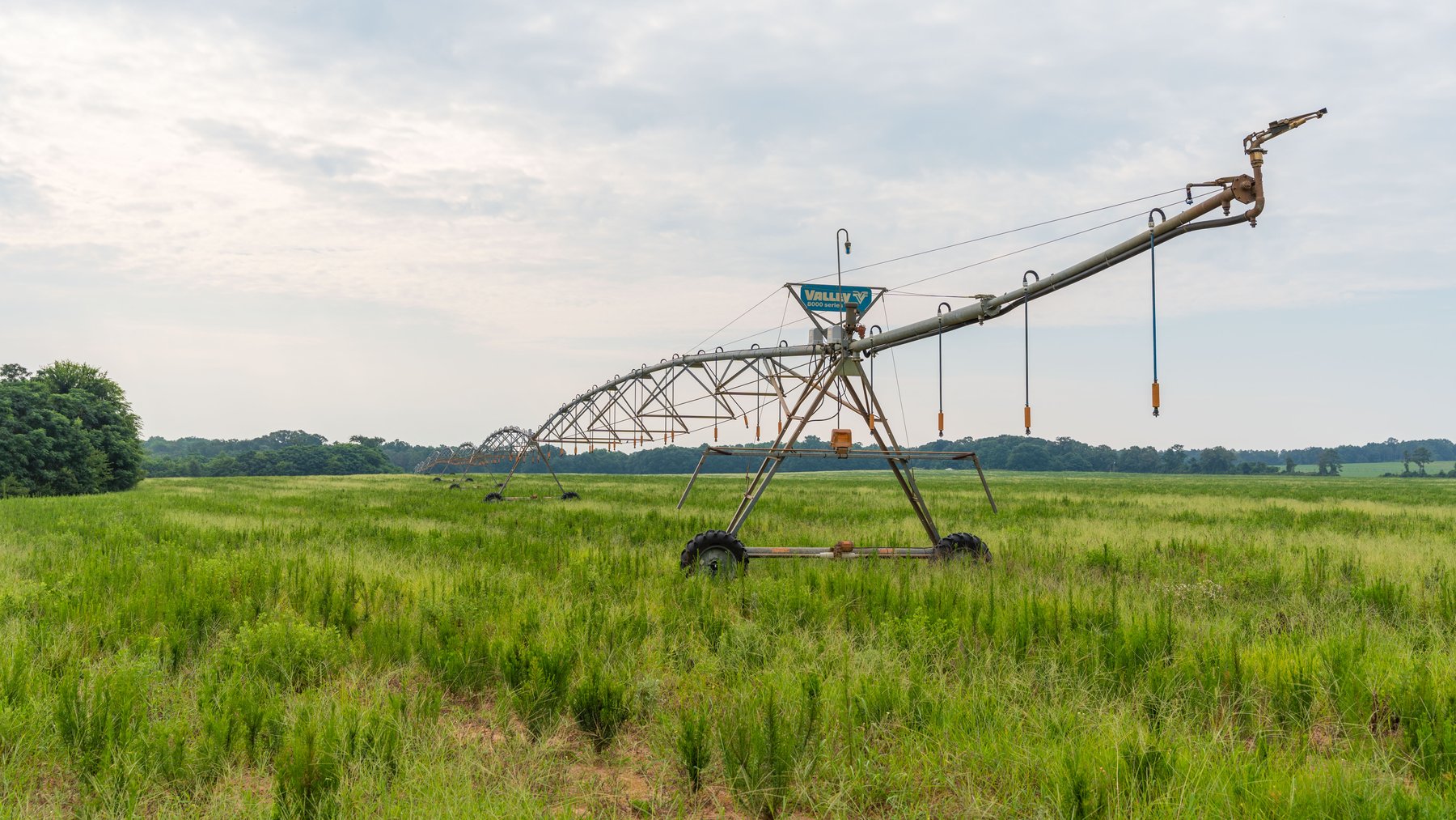 Image for The Summerford Place - 240+/- Total Acres - Irrigated Row Crop Farm - Beautiful Pond w/ Premium Hunting