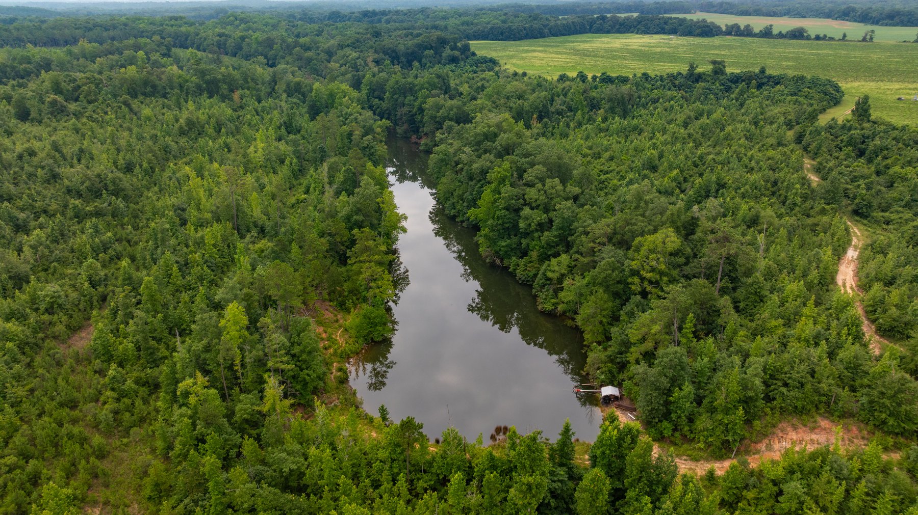 Image for The Summerford Place - 240+/- Total Acres - Irrigated Row Crop Farm - Beautiful Pond w/ Premium Hunting