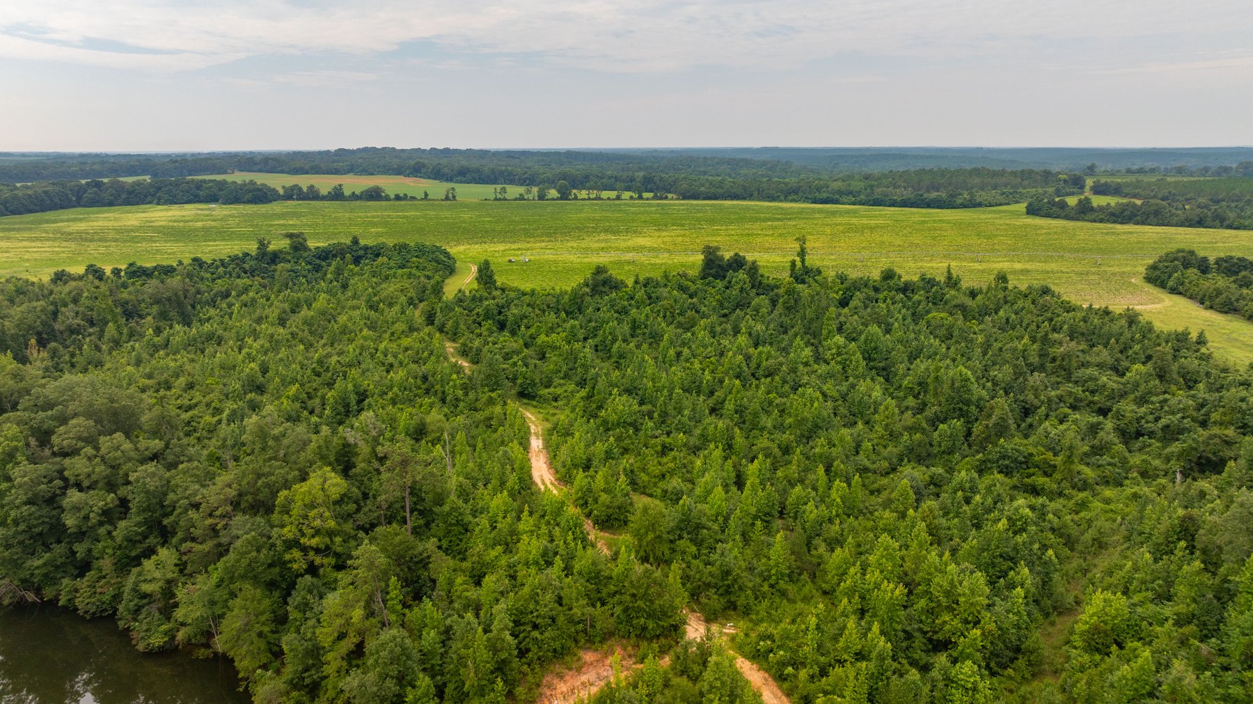 Image for The Summerford Place - 240+/- Total Acres - Irrigated Row Crop Farm - Beautiful Pond w/ Premium Hunting