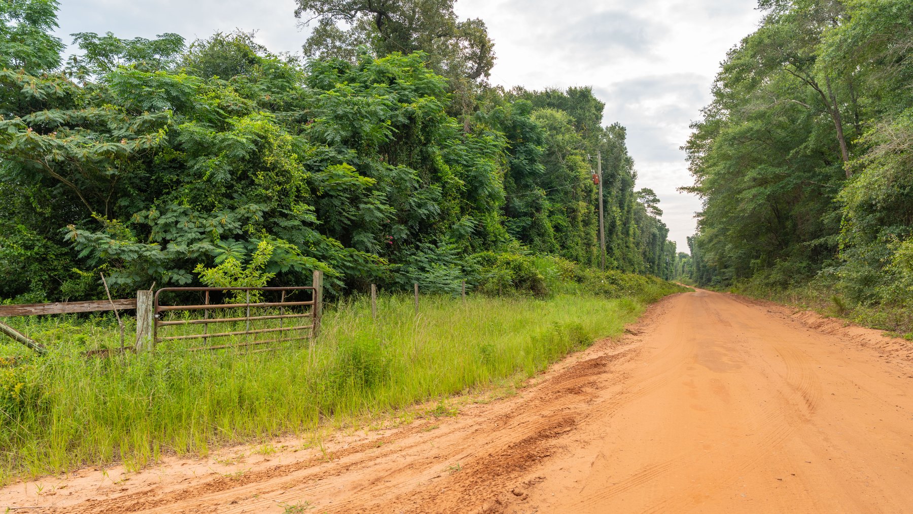 Image for The Summerford Place - 240+/- Total Acres - Irrigated Row Crop Farm - Beautiful Pond w/ Premium Hunting