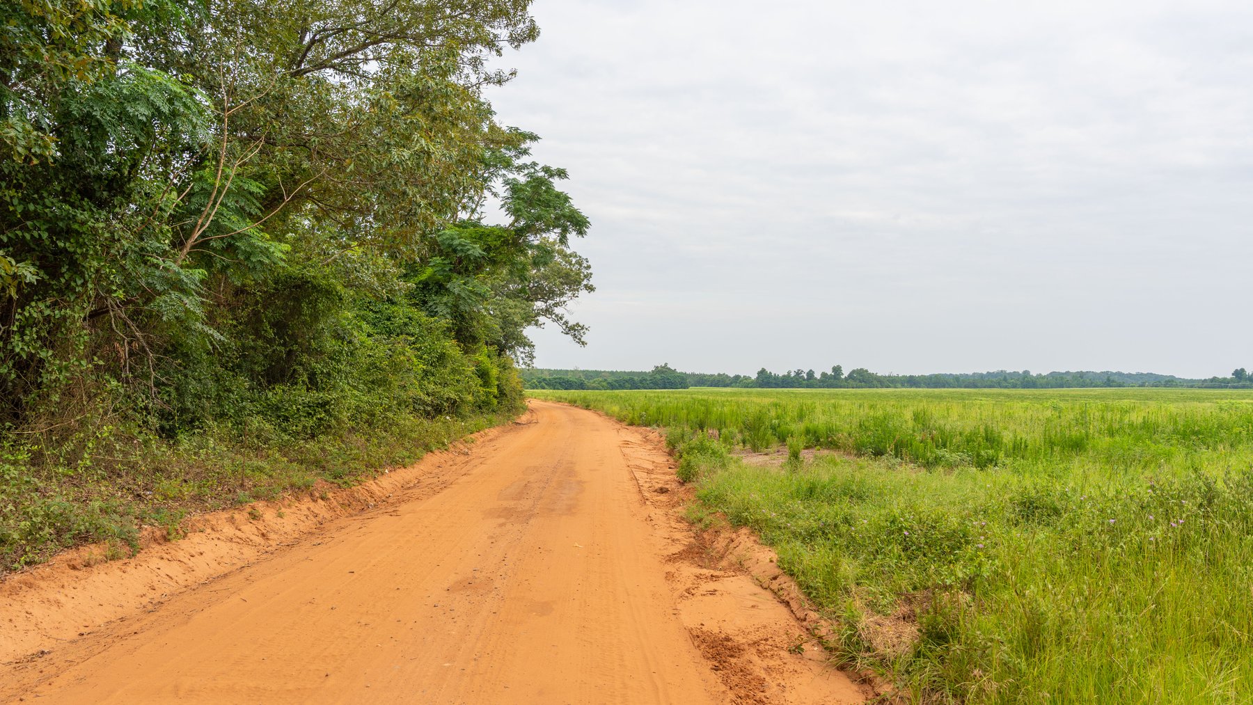 Image for The Summerford Place - 240+/- Total Acres - Irrigated Row Crop Farm - Beautiful Pond w/ Premium Hunting