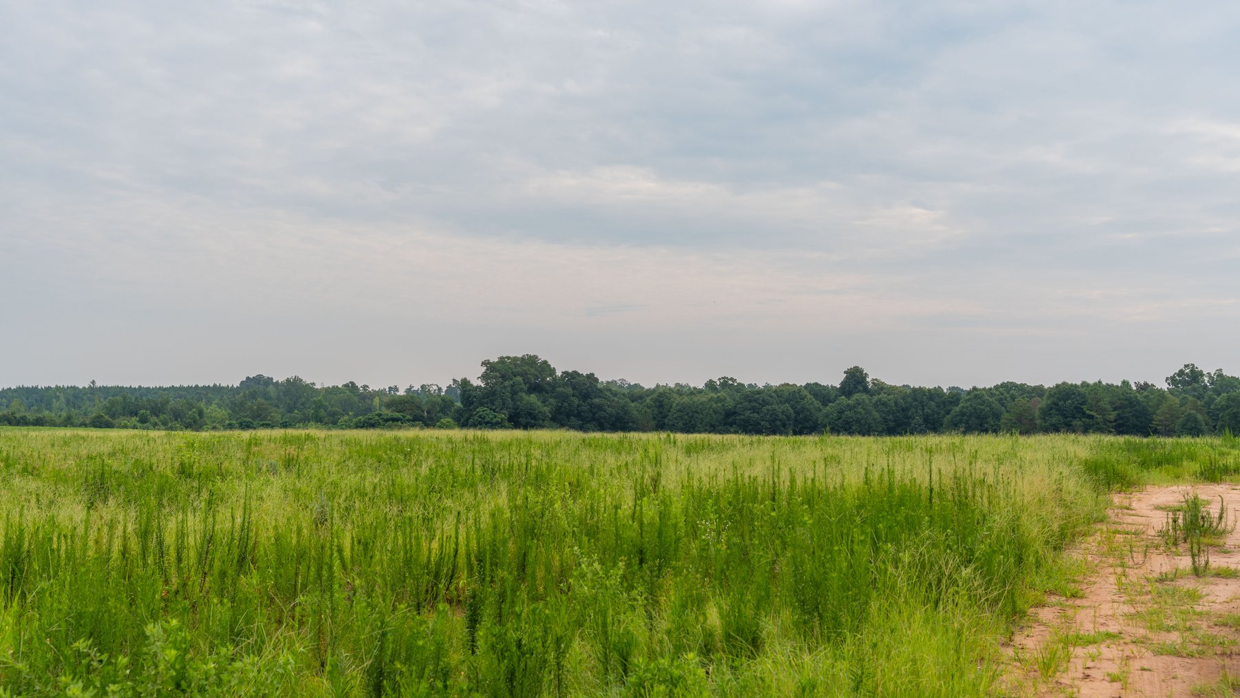 Image for The Summerford Place - 240+/- Total Acres - Irrigated Row Crop Farm - Beautiful Pond w/ Premium Hunting