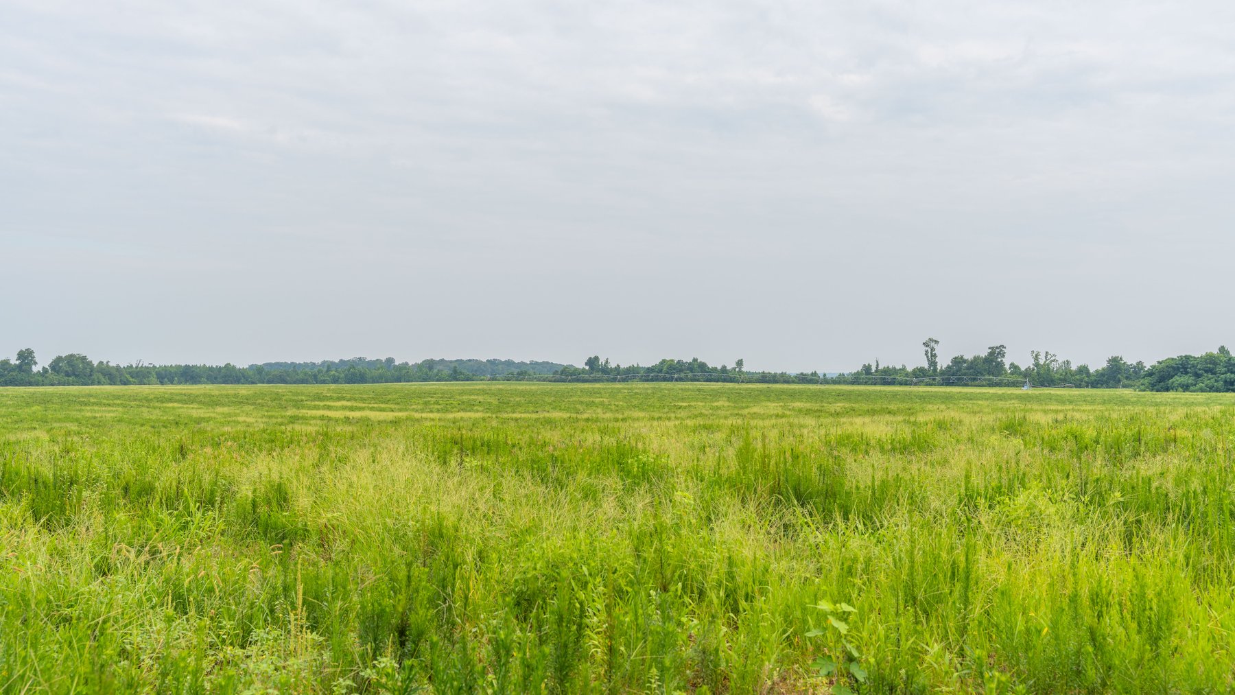 Image for The Summerford Place - 240+/- Total Acres - Irrigated Row Crop Farm - Beautiful Pond w/ Premium Hunting