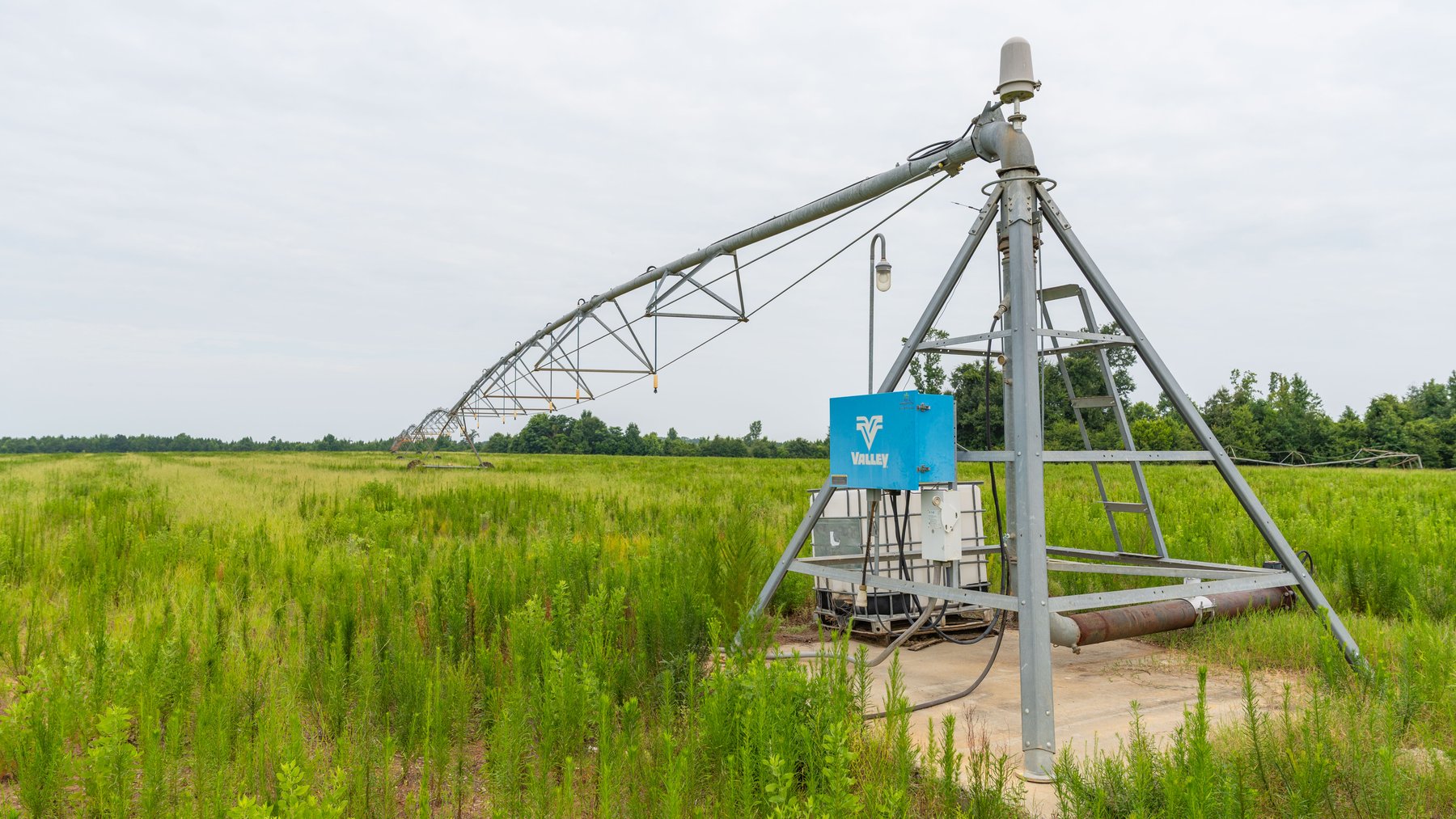 Image for The Summerford Place - 240+/- Total Acres - Irrigated Row Crop Farm - Beautiful Pond w/ Premium Hunting