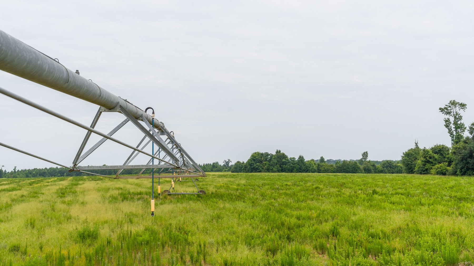 Image for The Summerford Place - 240+/- Total Acres - Irrigated Row Crop Farm - Beautiful Pond w/ Premium Hunting