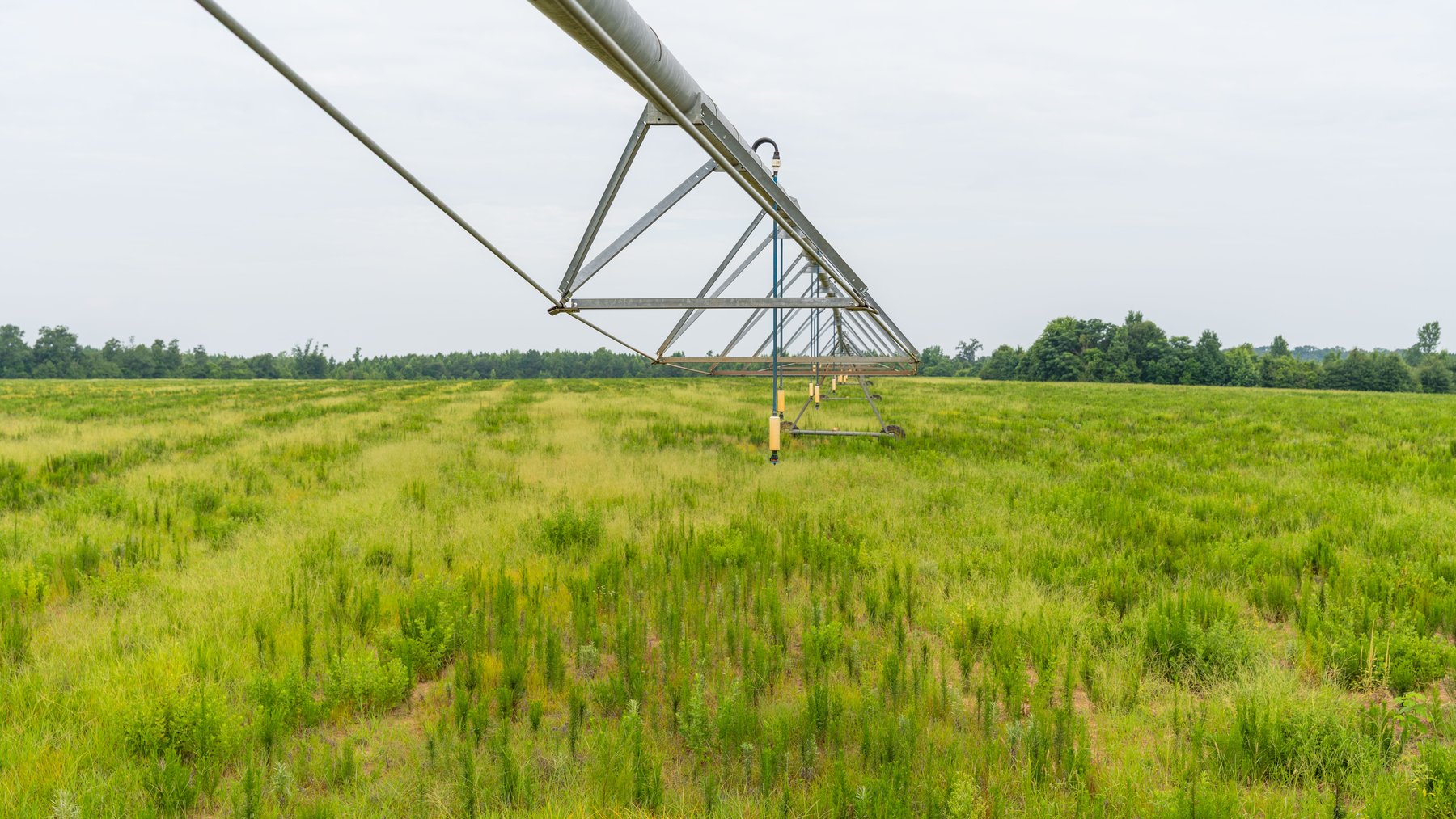 Image for The Summerford Place - 240+/- Total Acres - Irrigated Row Crop Farm - Beautiful Pond w/ Premium Hunting