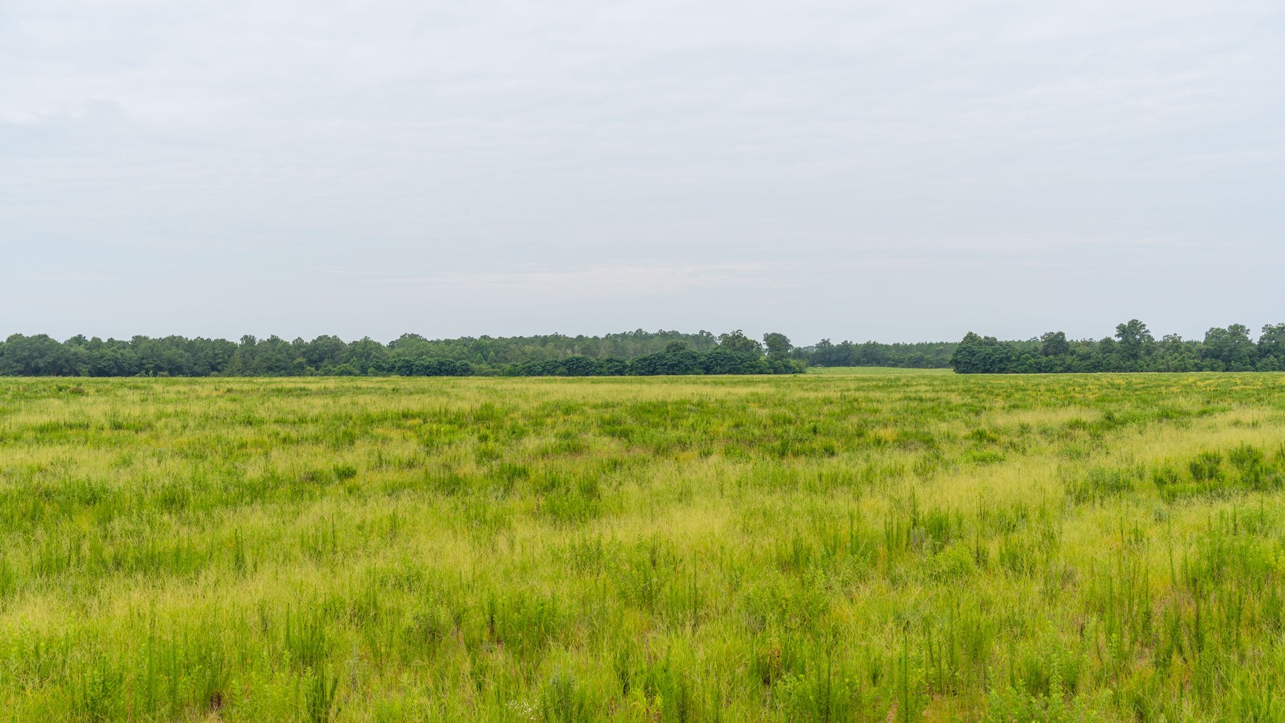 Image for The Summerford Place - 240+/- Total Acres - Irrigated Row Crop Farm - Beautiful Pond w/ Premium Hunting