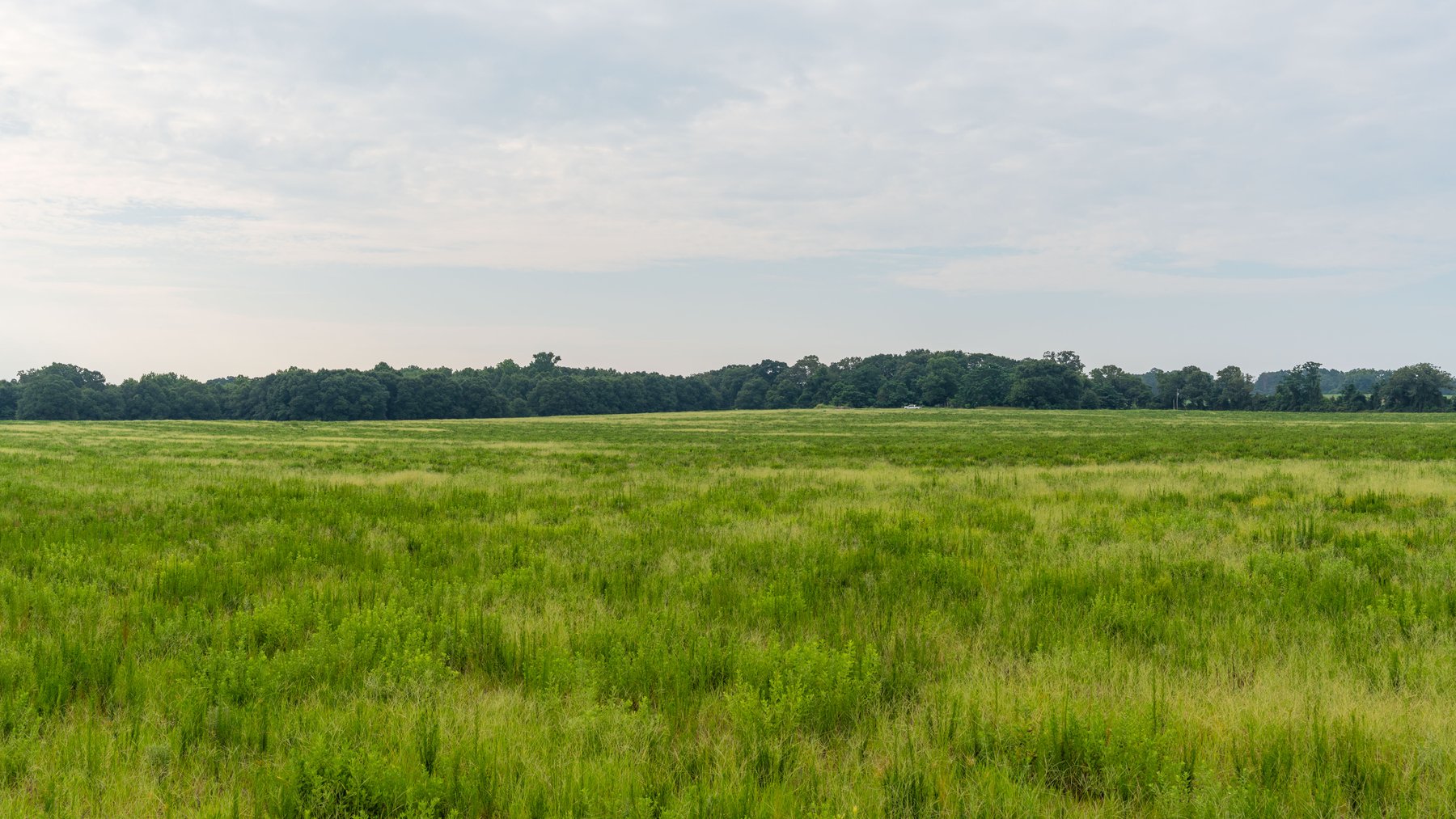 Image for The Summerford Place - 240+/- Total Acres - Irrigated Row Crop Farm - Beautiful Pond w/ Premium Hunting