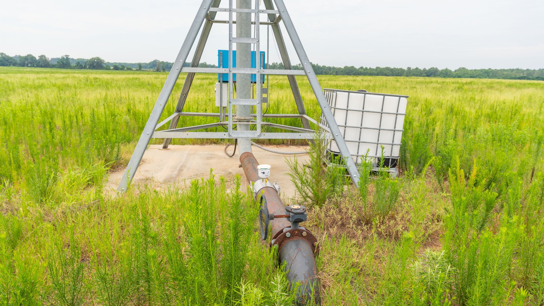 Image for The Summerford Place - 240+/- Total Acres - Irrigated Row Crop Farm - Beautiful Pond w/ Premium Hunting