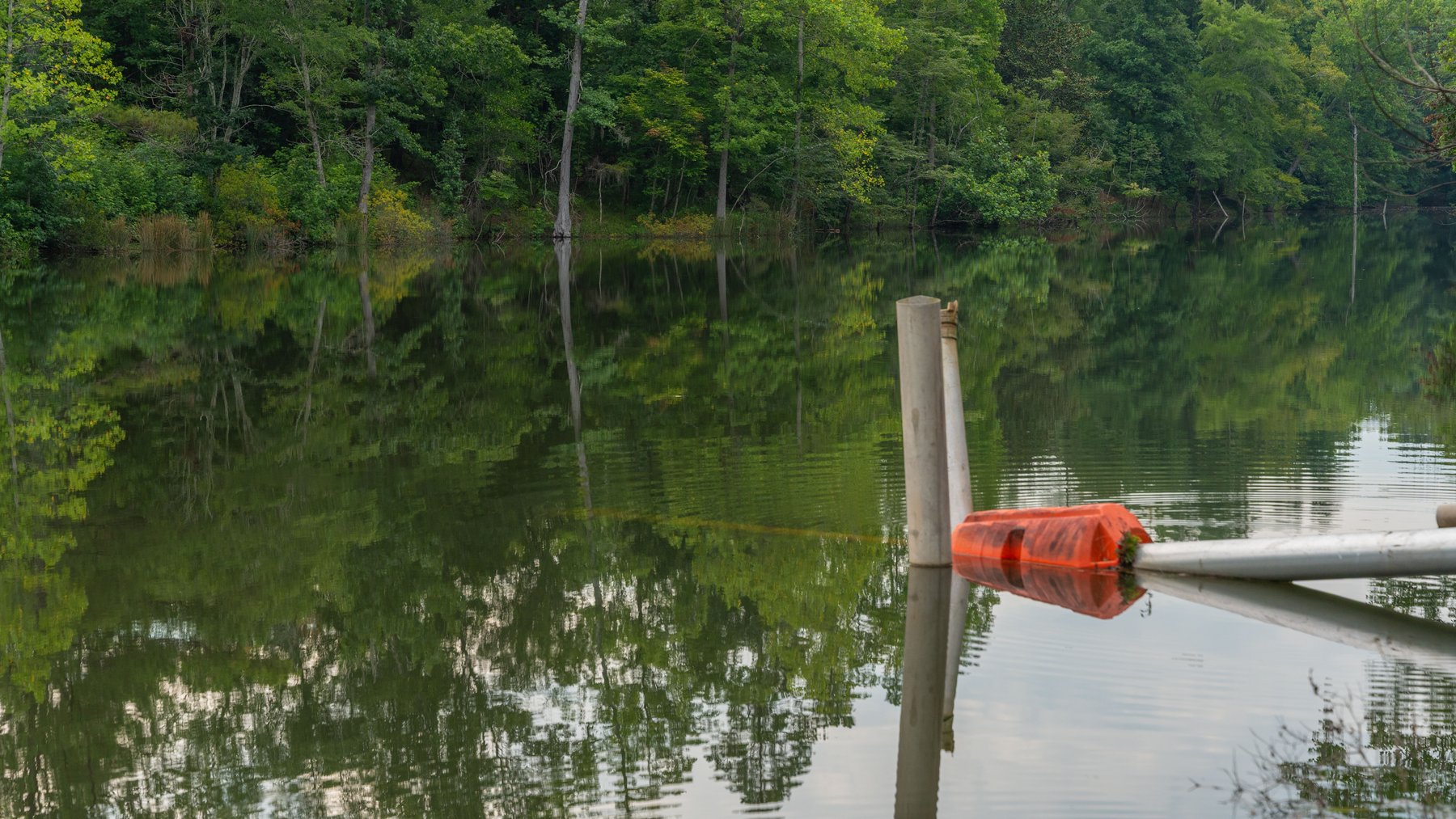 Image for The Summerford Place - 240+/- Total Acres - Irrigated Row Crop Farm - Beautiful Pond w/ Premium Hunting