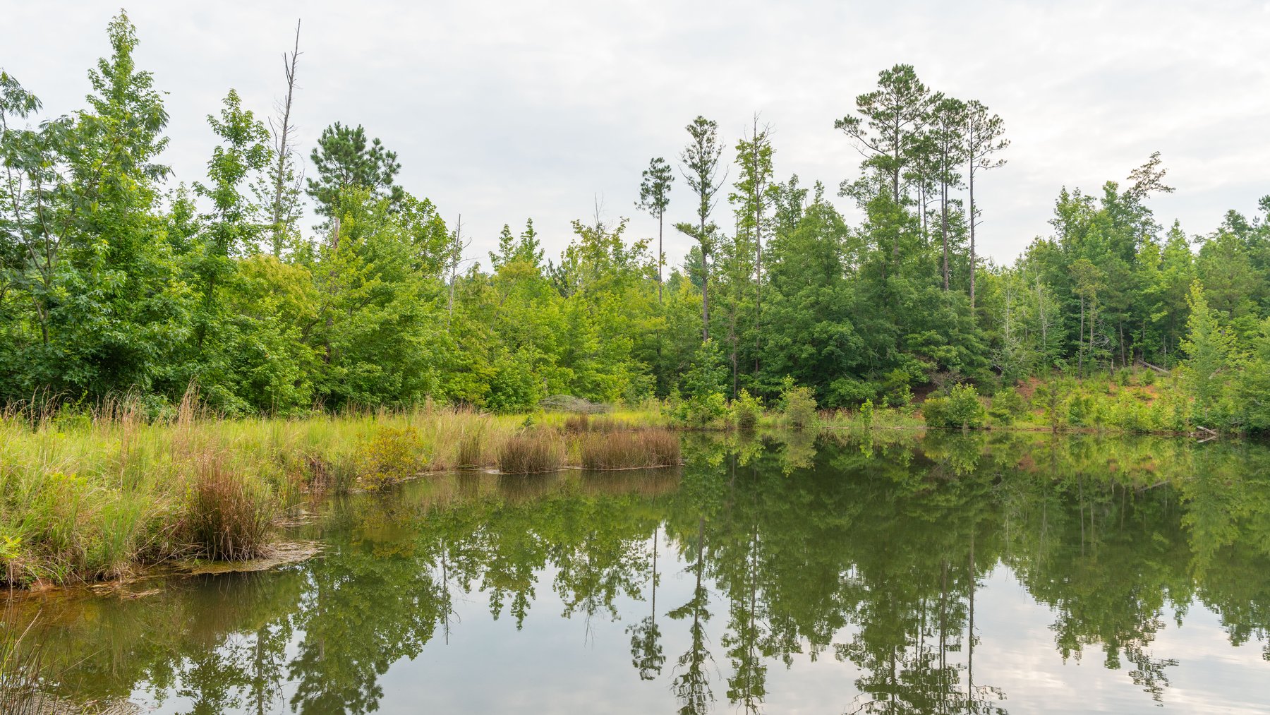 Image for The Summerford Place - 240+/- Total Acres - Irrigated Row Crop Farm - Beautiful Pond w/ Premium Hunting