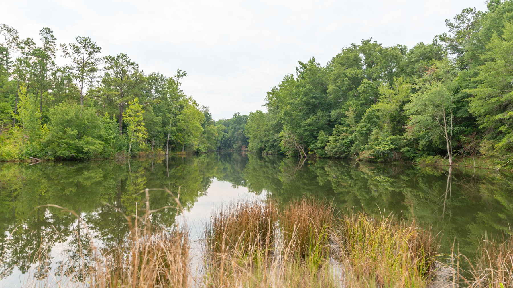 Image for The Summerford Place - 240+/- Total Acres - Irrigated Row Crop Farm - Beautiful Pond w/ Premium Hunting