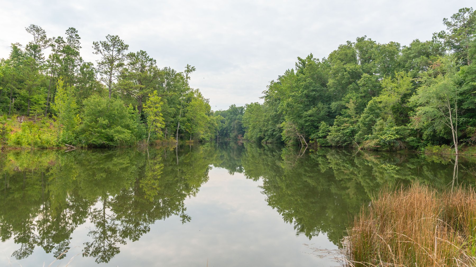Image for The Summerford Place - 240+/- Total Acres - Irrigated Row Crop Farm - Beautiful Pond w/ Premium Hunting