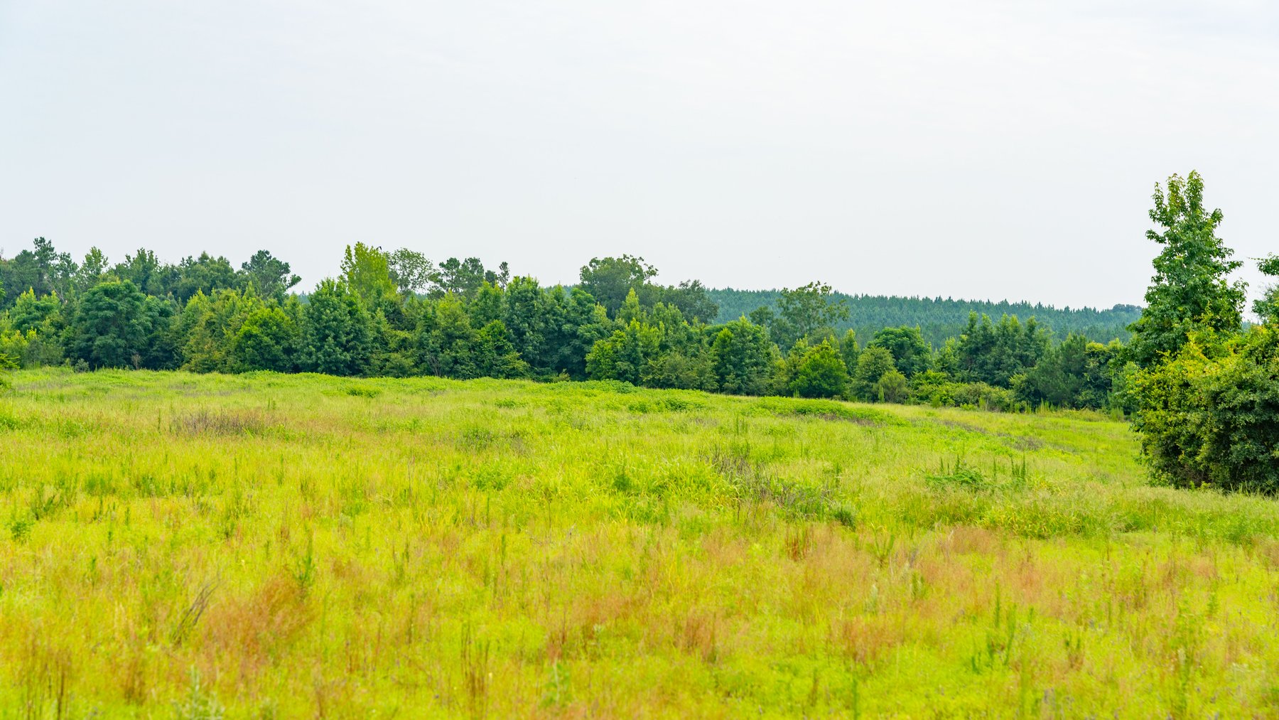 Image for The Summerford Place - 240+/- Total Acres - Irrigated Row Crop Farm - Beautiful Pond w/ Premium Hunting