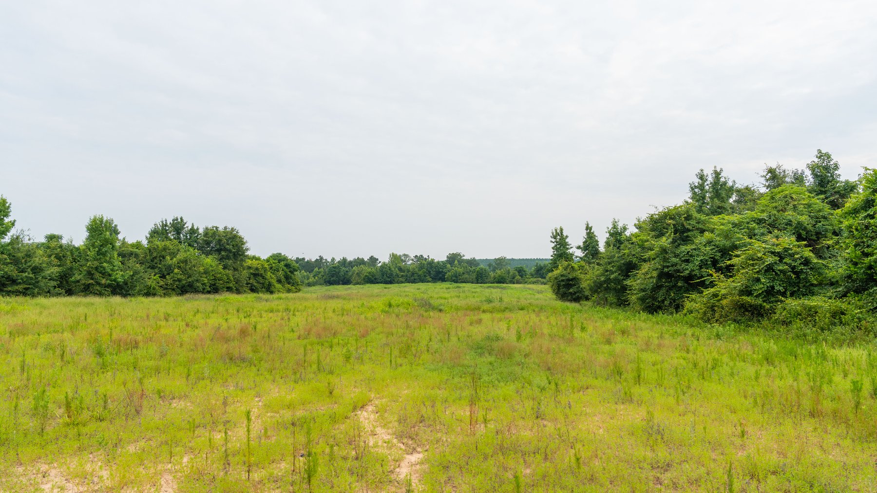 Image for The Summerford Place - 240+/- Total Acres - Irrigated Row Crop Farm - Beautiful Pond w/ Premium Hunting