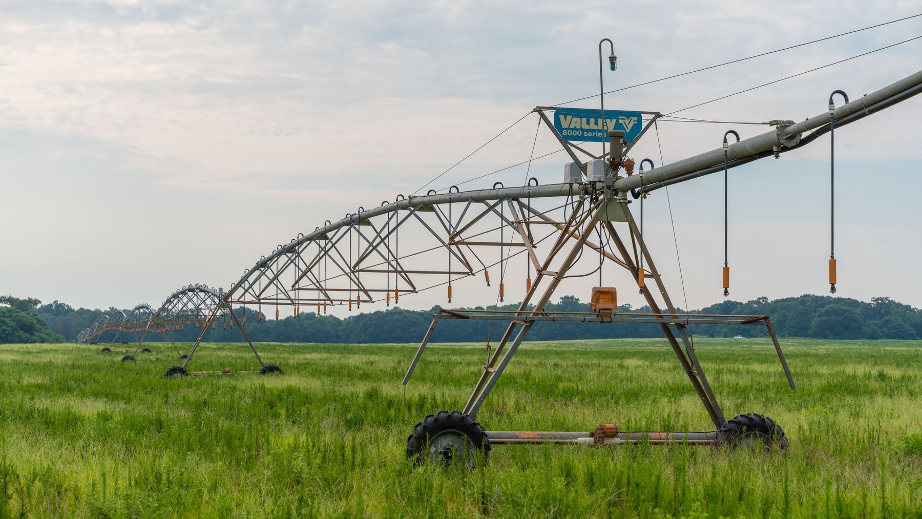 Image for The Summerford Place - 240+/- Total Acres - Irrigated Row Crop Farm - Beautiful Pond w/ Premium Hunting