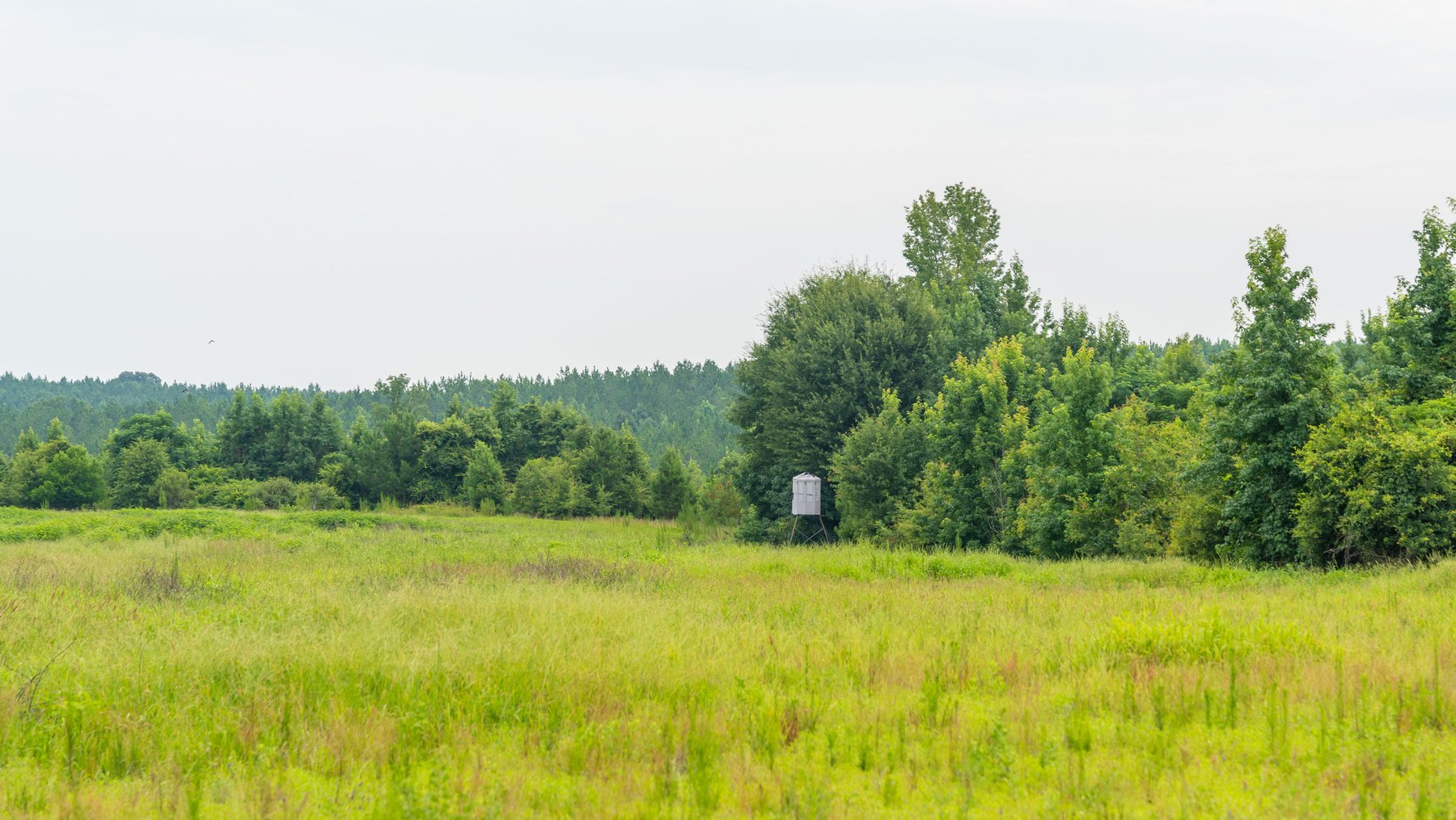 Image for The Summerford Place - 240+/- Total Acres - Irrigated Row Crop Farm - Beautiful Pond w/ Premium Hunting