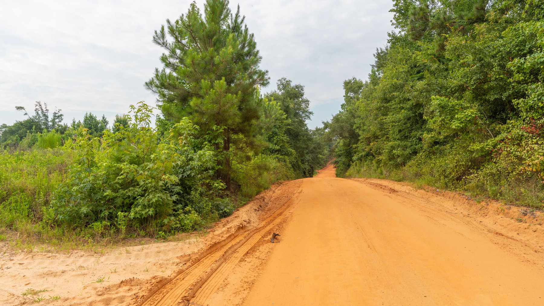 Image for The Summerford Place - 240+/- Total Acres - Irrigated Row Crop Farm - Beautiful Pond w/ Premium Hunting