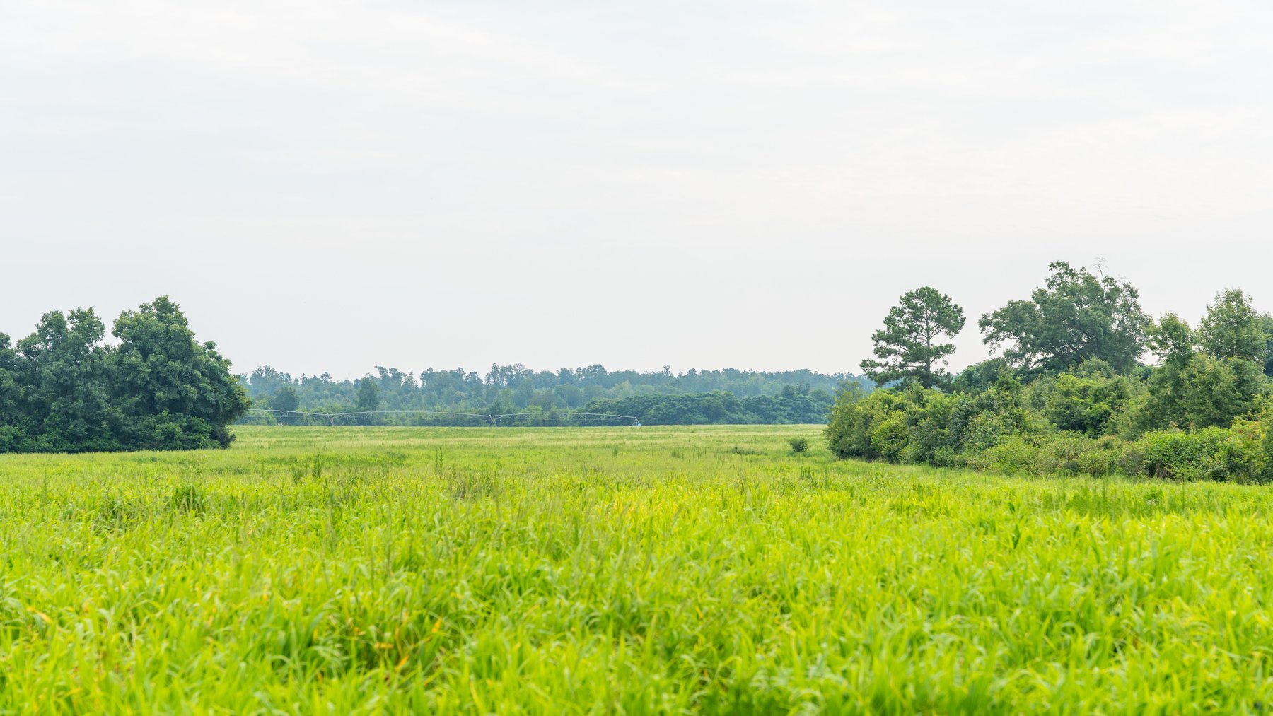 Image for The Summerford Place - 240+/- Total Acres - Irrigated Row Crop Farm - Beautiful Pond w/ Premium Hunting