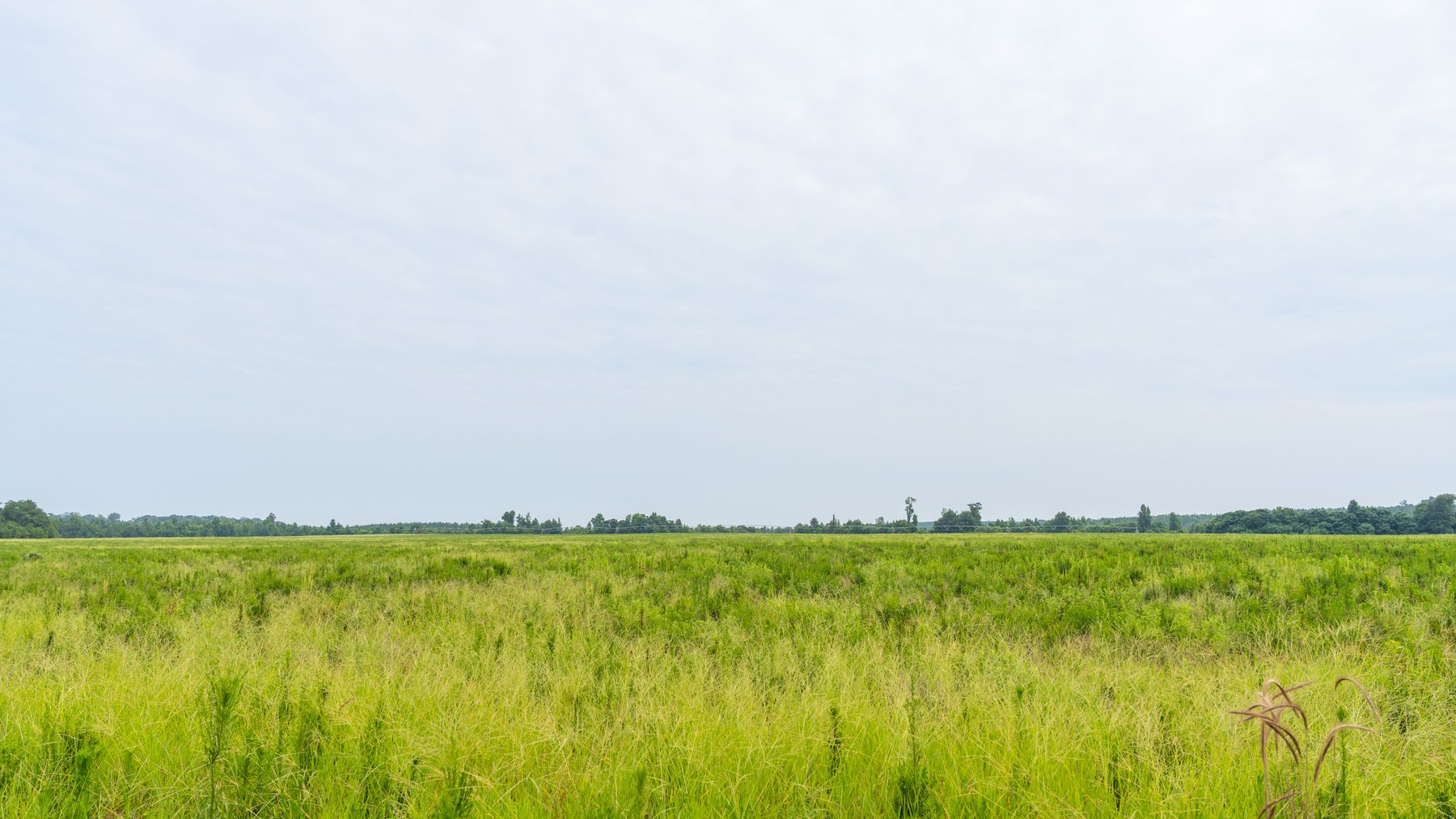 Image for The Summerford Place - 240+/- Total Acres - Irrigated Row Crop Farm - Beautiful Pond w/ Premium Hunting